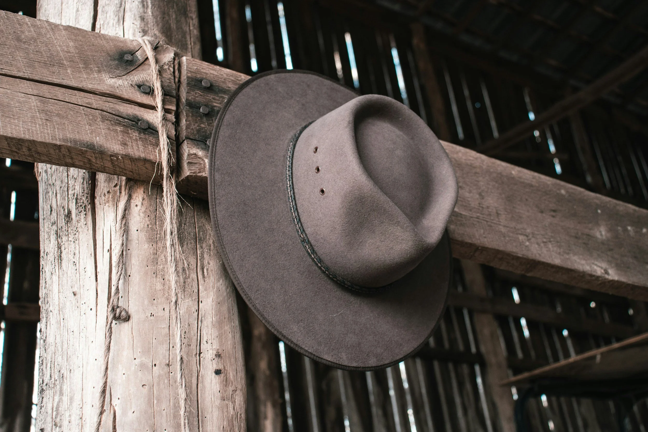 unsplash-image-1Je6CXMXHfU.jpg