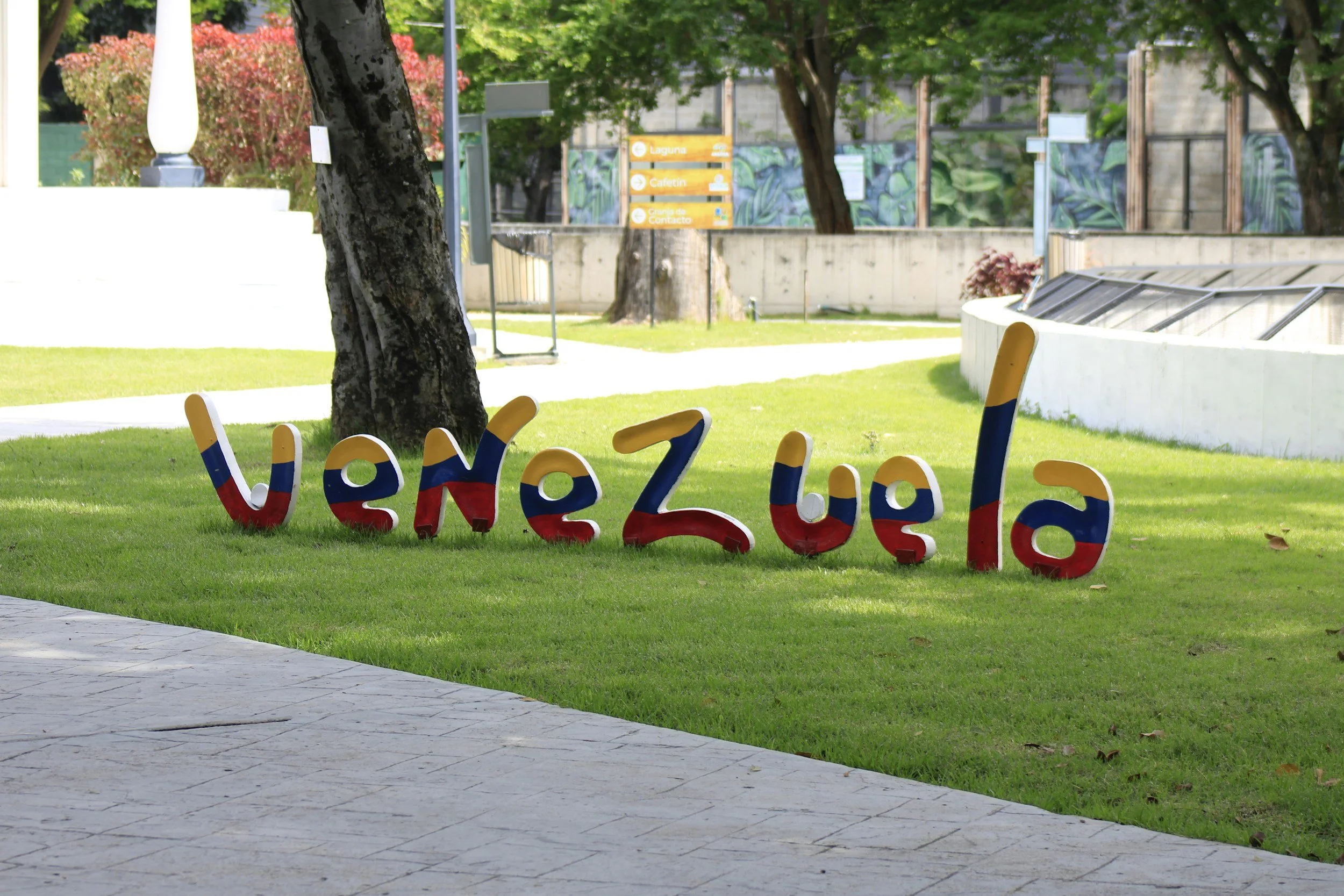 How You Can Help in the Aftermath of the Venezuela Earthquakes