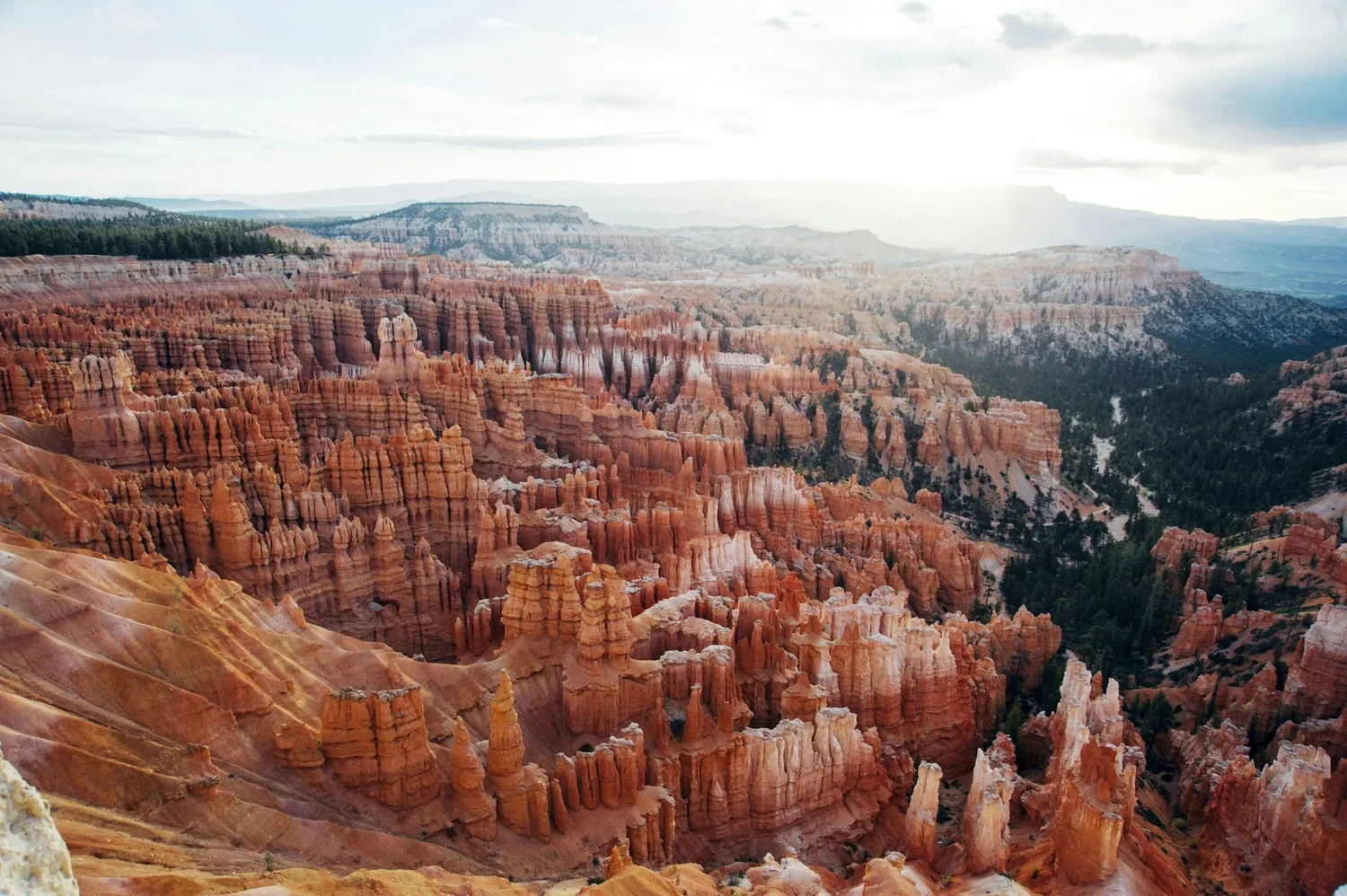 Preserving Nature is not an Option; it is a Necessity