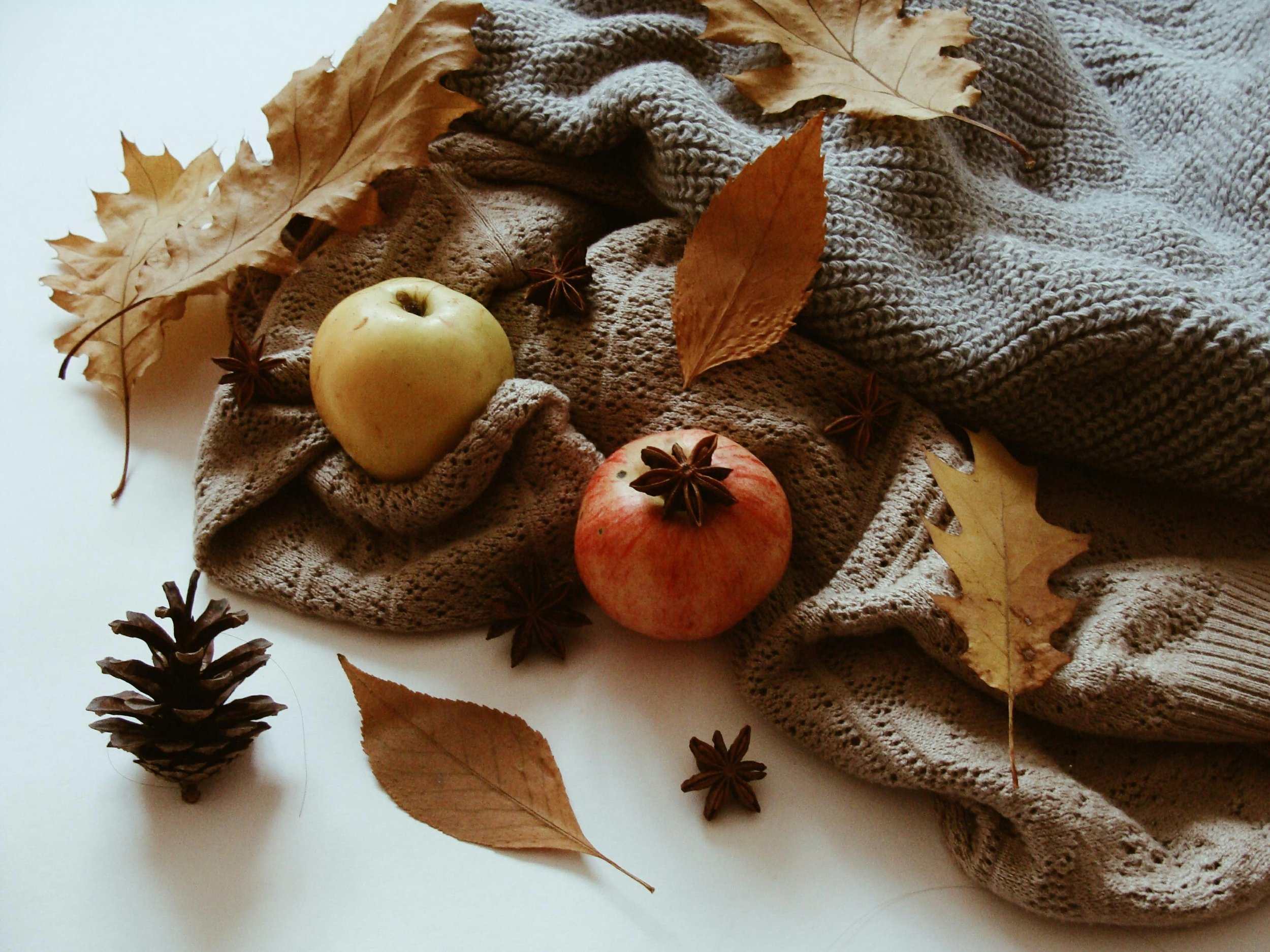 Autumn Sustainability: Celebrate the Season Without the Waste