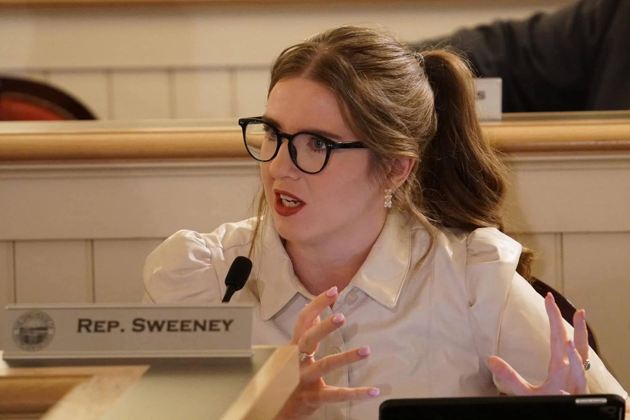 Our Favorite Progressive Candidates in 2026 - Bride Rose Sweeney, Ohio State Senate, District 23