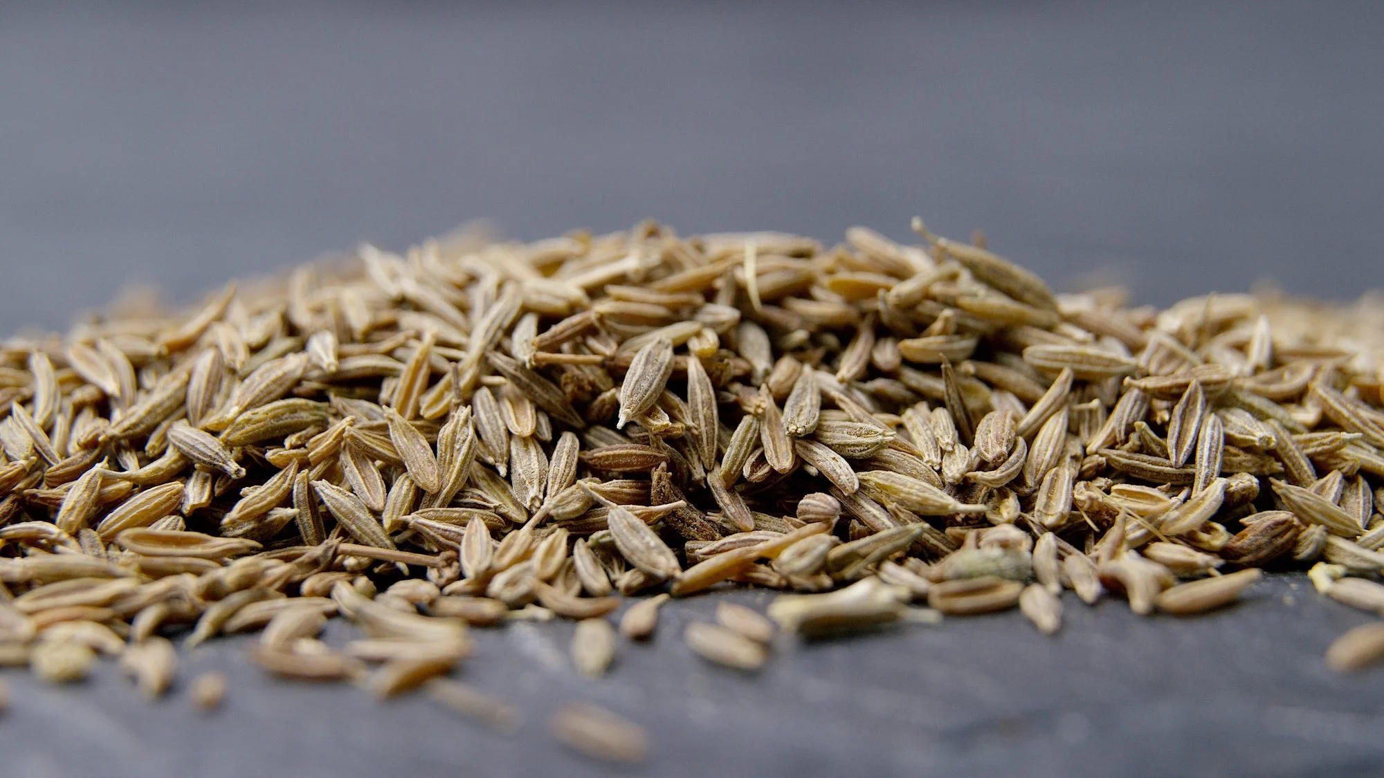 Cumin C 2000.jpeg
