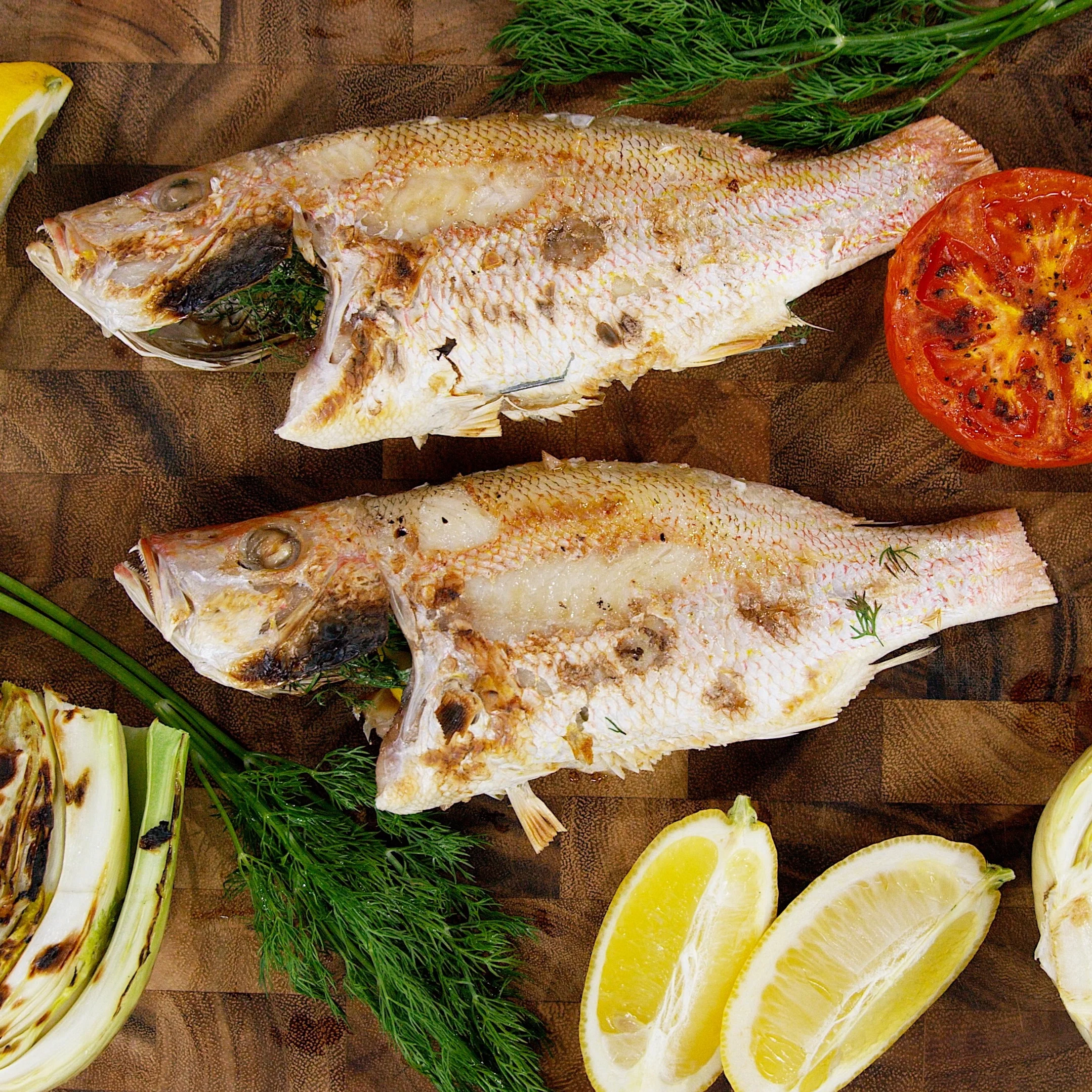Grilled Fish Otto Wilde Grill A SQ.jpeg