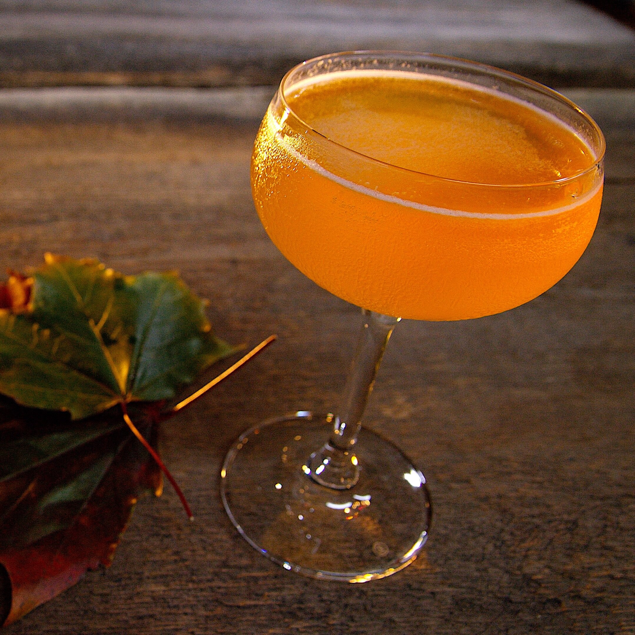 Tequila Limoncello Cocktail Recipe — Glen & Friends Cooking