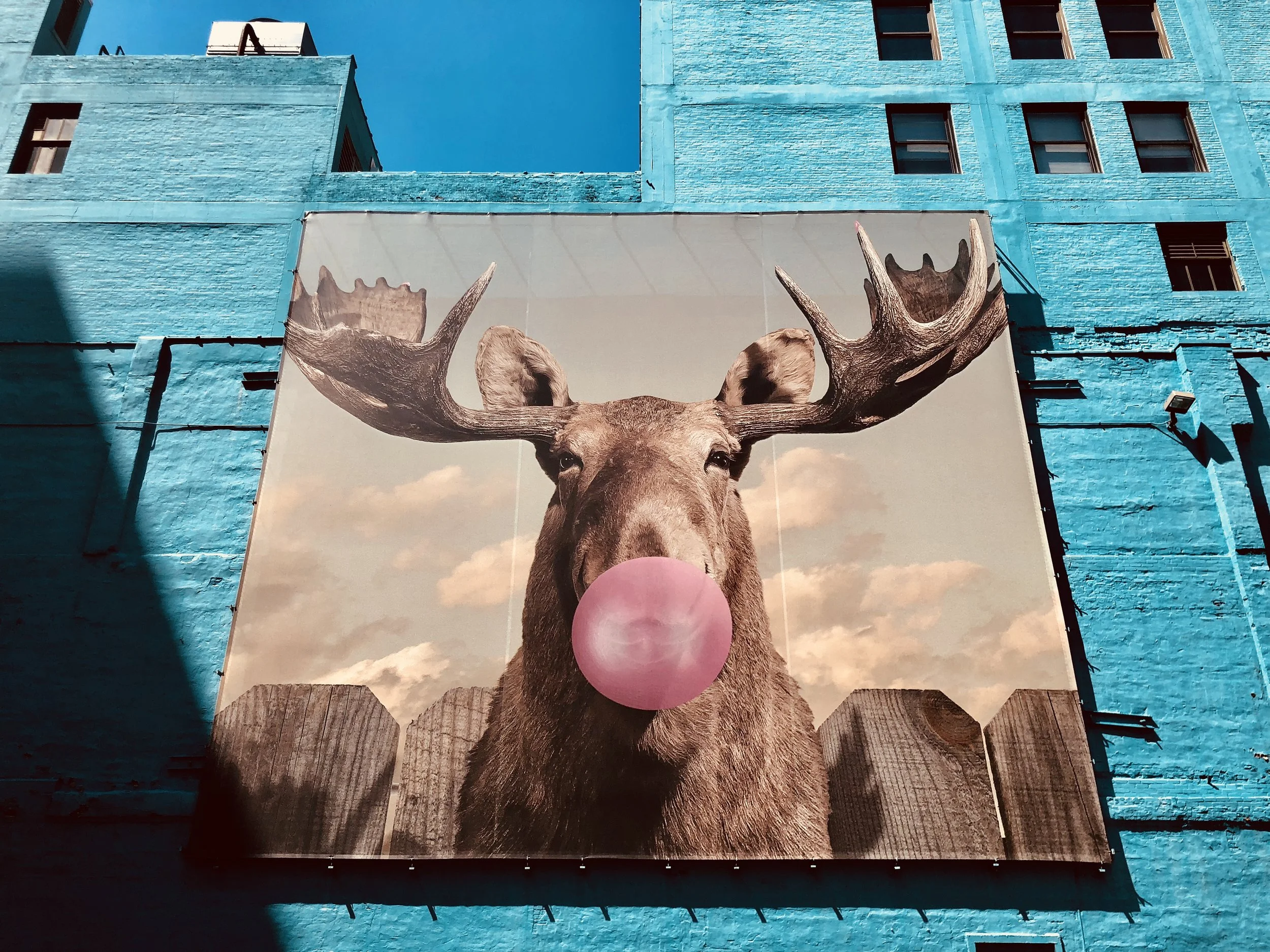 The Moose