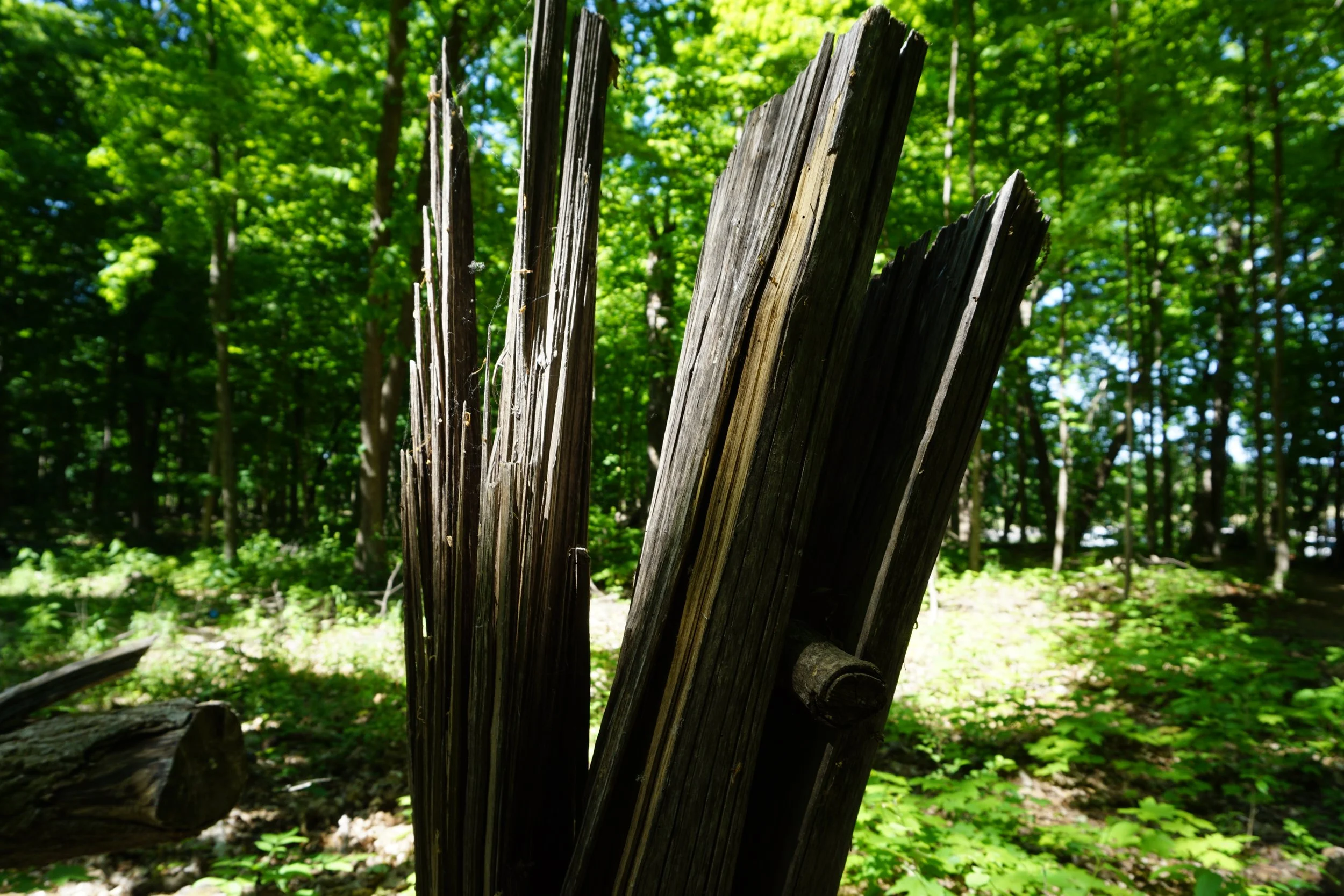 DSC09702.JPG