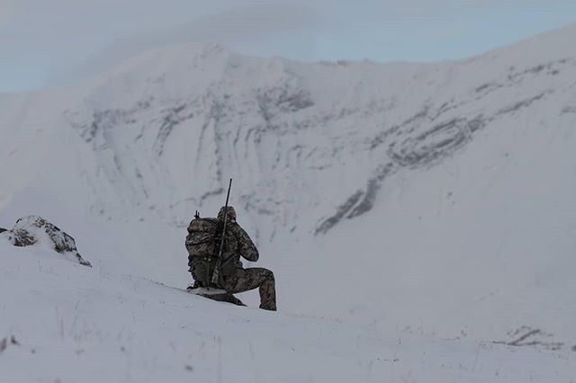 Let your eyes do the walking.

#arcticredriveroutfitters #arcticred #mountainhunting