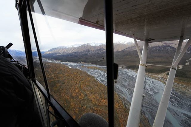 Come fly with us. #arcticredriveroutfitters #arcticred #mountainhunting