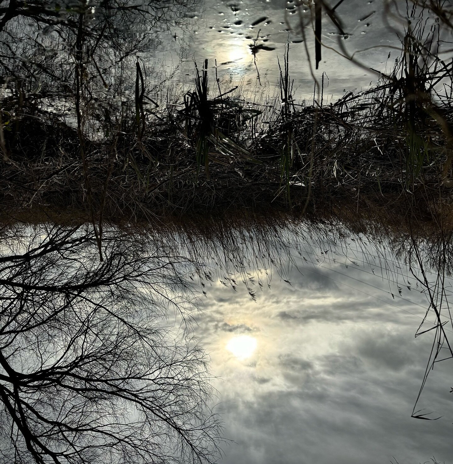 Reflections. #sundayrun #happyplace #reflections #trailrunning #chertseymeads #naturephotography