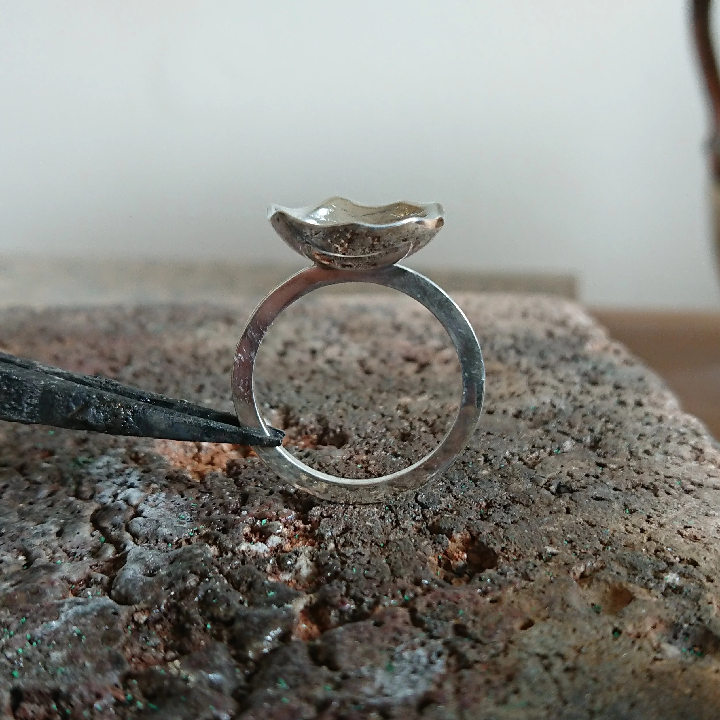 DSC_6575-01 (1).jpeg