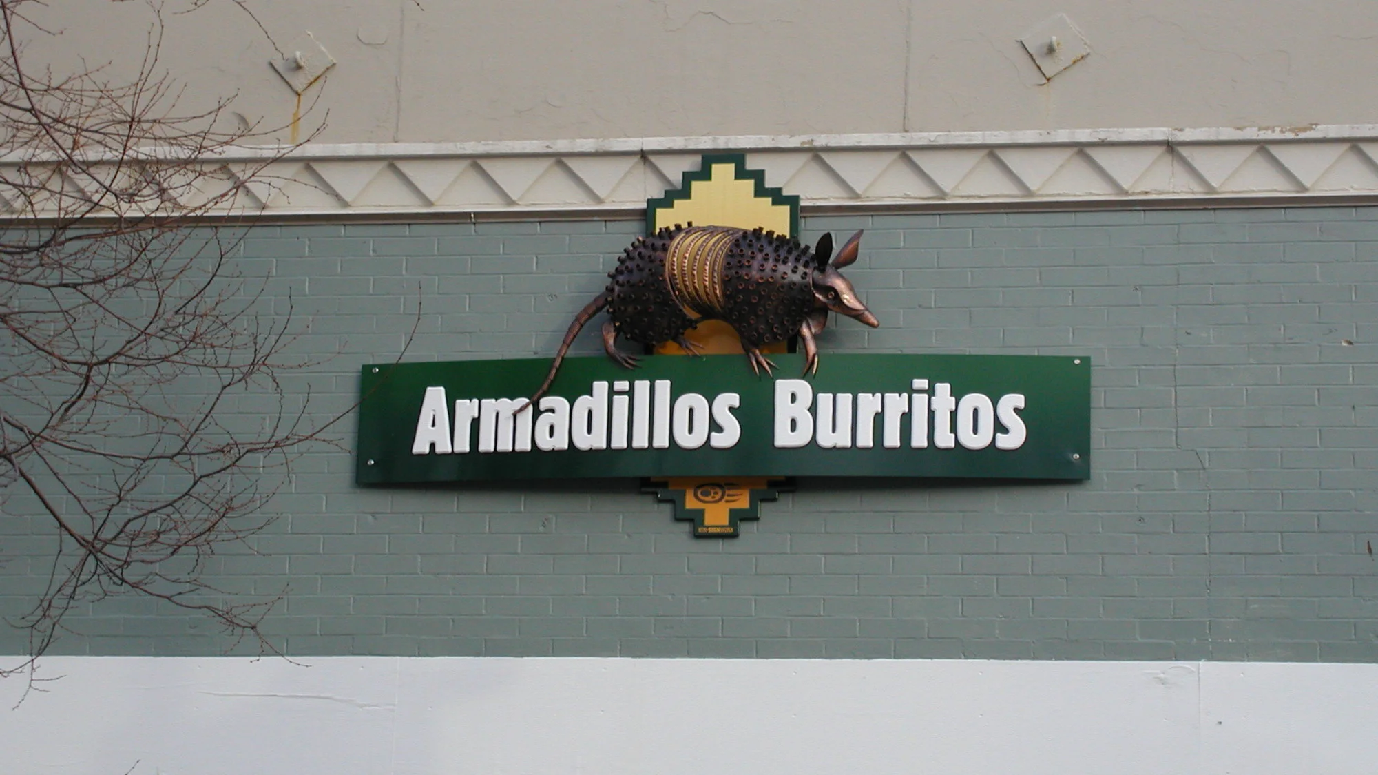 Armadillos+new2.jpg