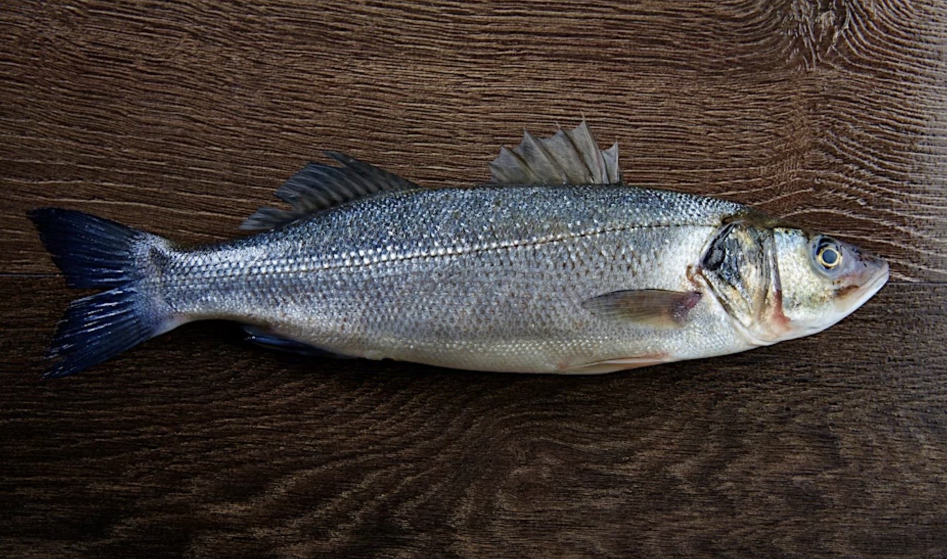 HANDS ON COOKING CLASS: Cook Like a Pro, Fish Cookery