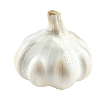 A whole garlic bulb with white papery skin