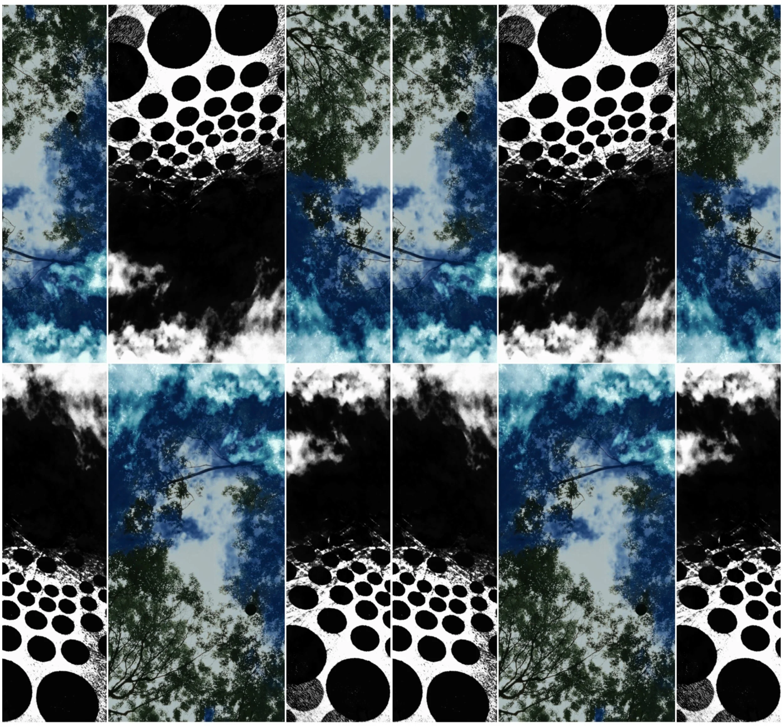 Collage9.jpg