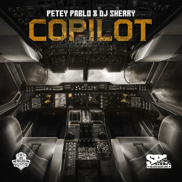 copilot.jpg