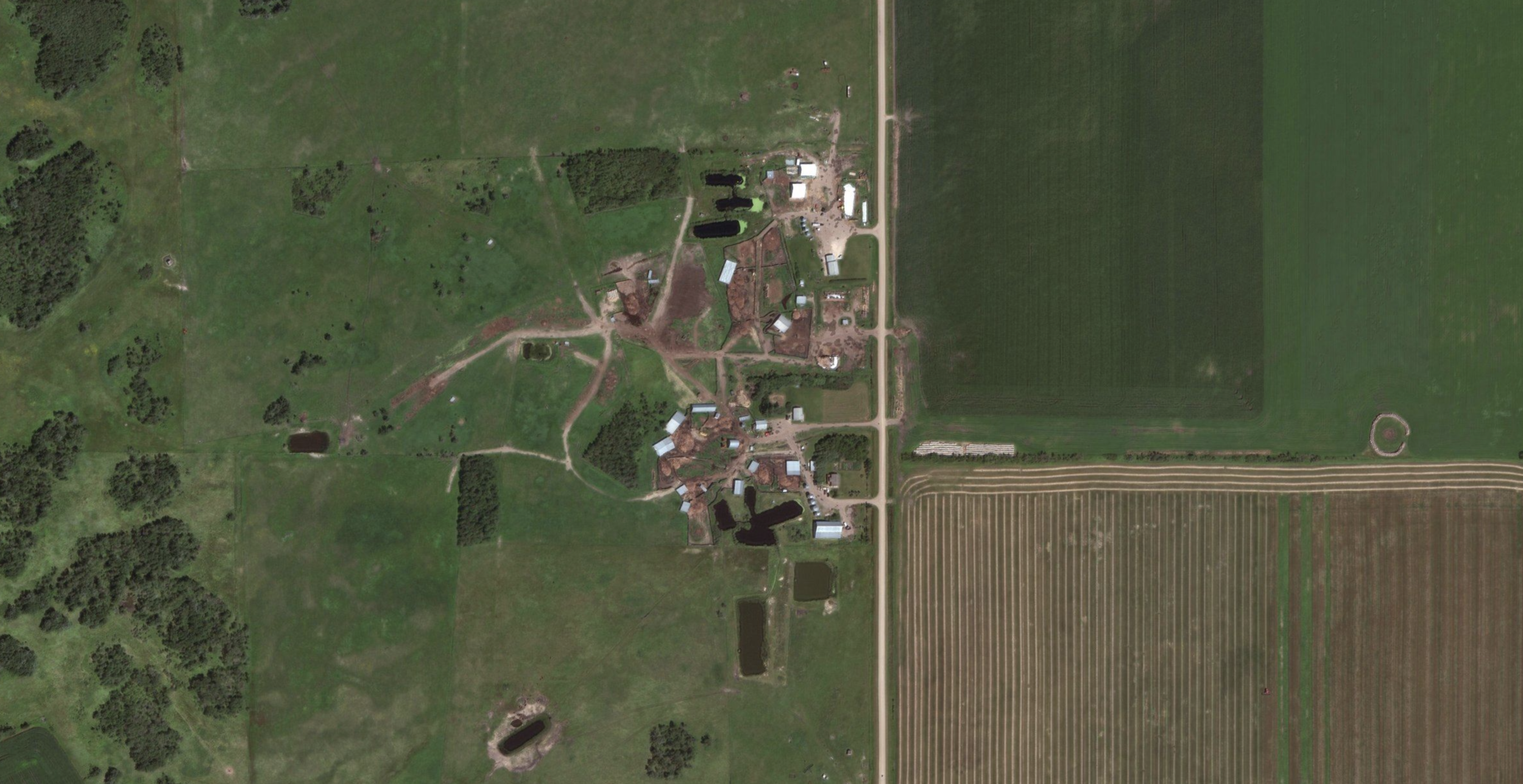 Farm 03.png