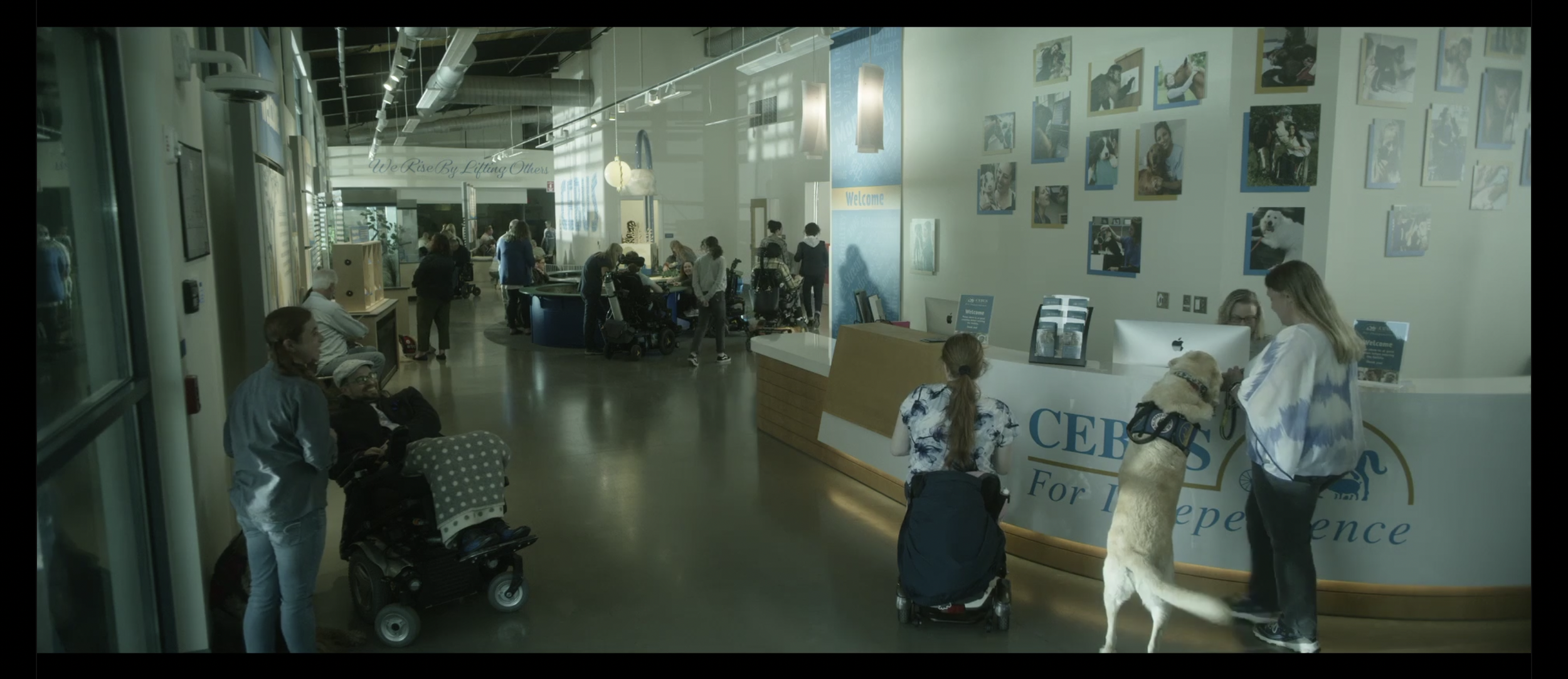 Screen Shot 2021-06-22 at 4.27.39 PM.png