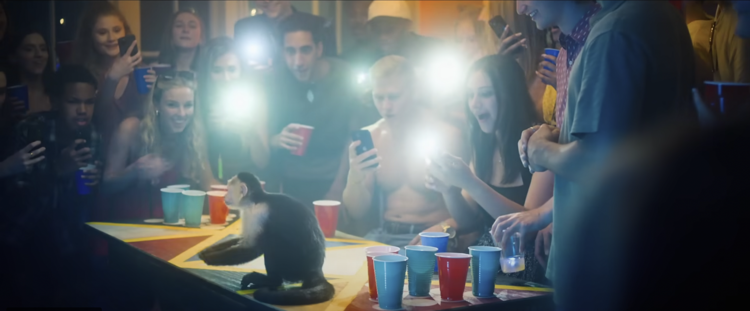 Screen Shot 2023-03-03 at 11.05.43 AM.png