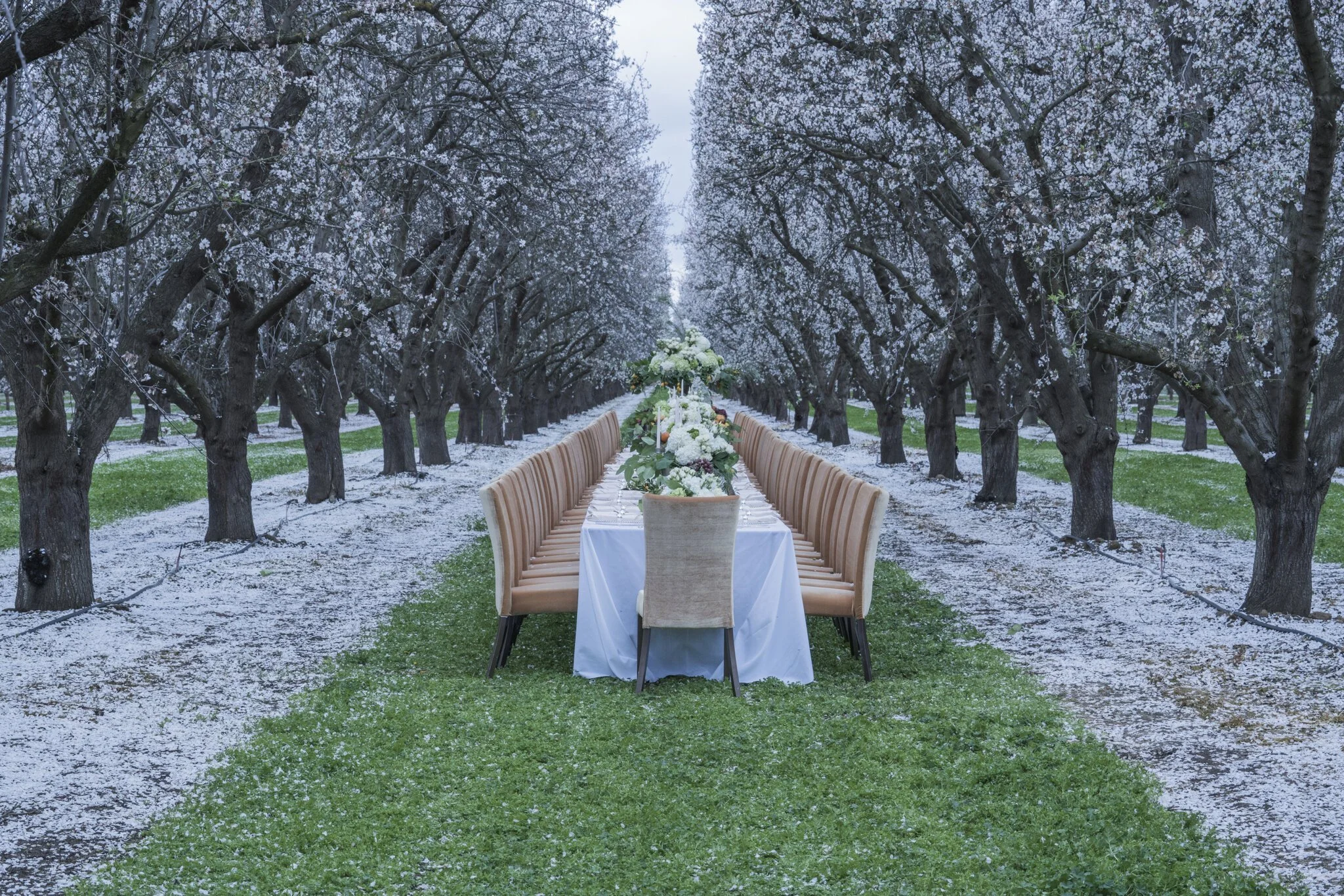 image-asset (7).jpeg