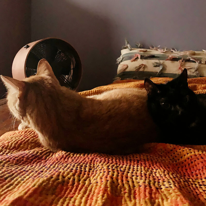 Saturday Morning Family Sleep Pile