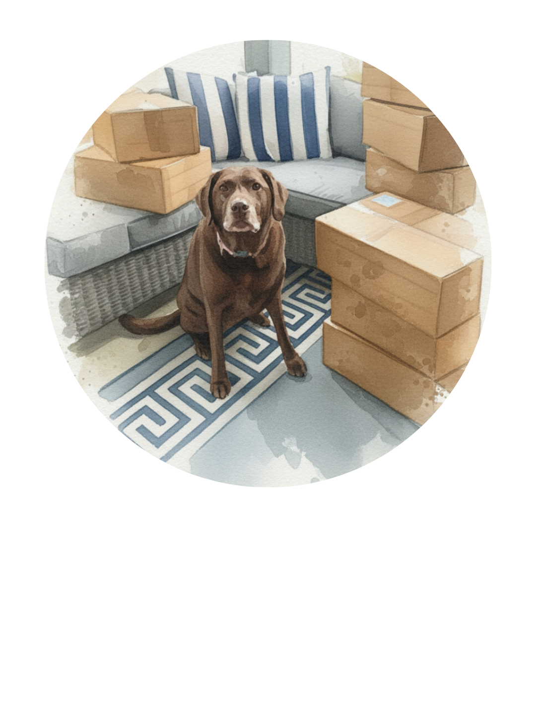 Copy of Untitled Design (2).png