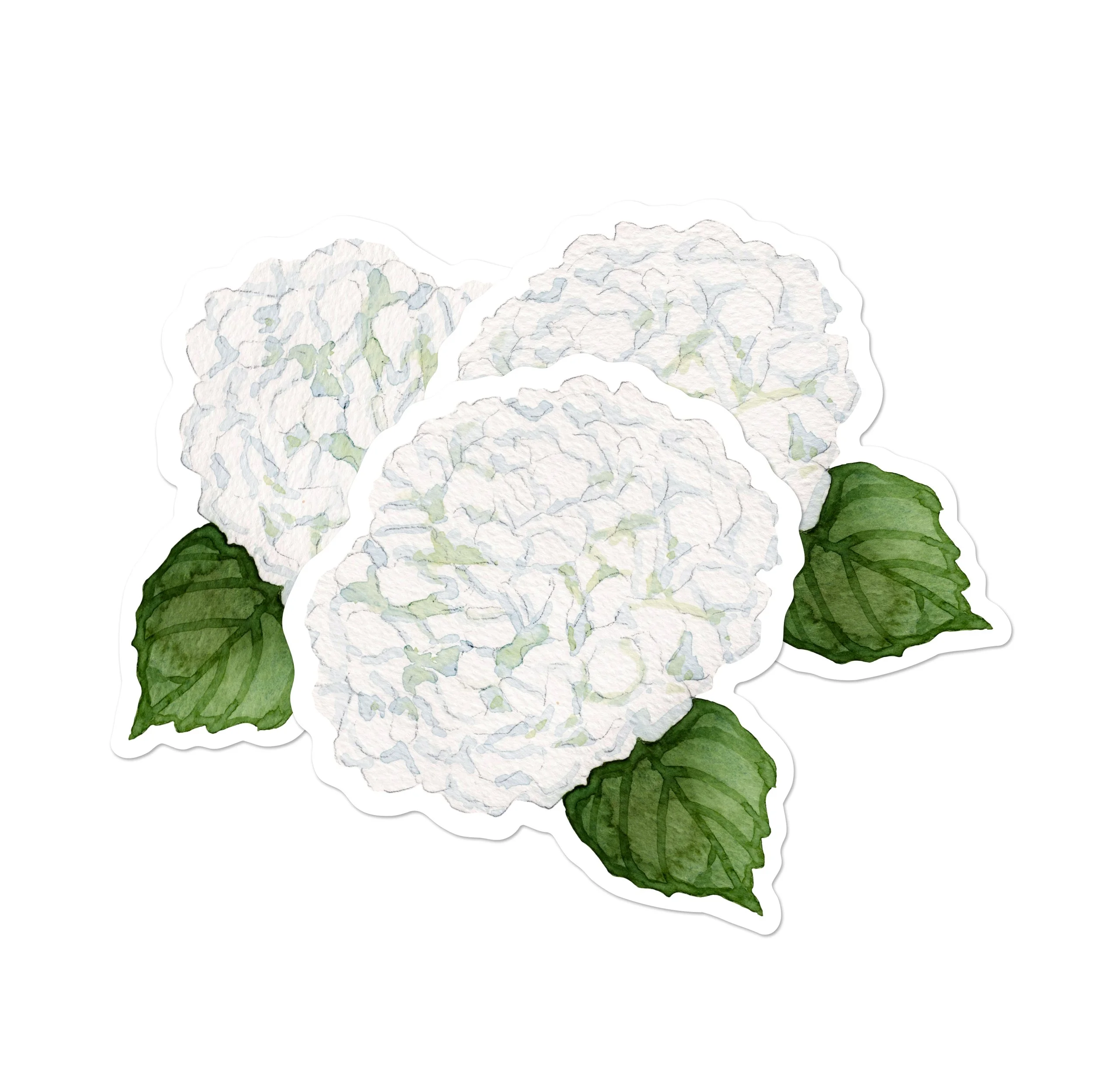 White Hydrangea Place Cards