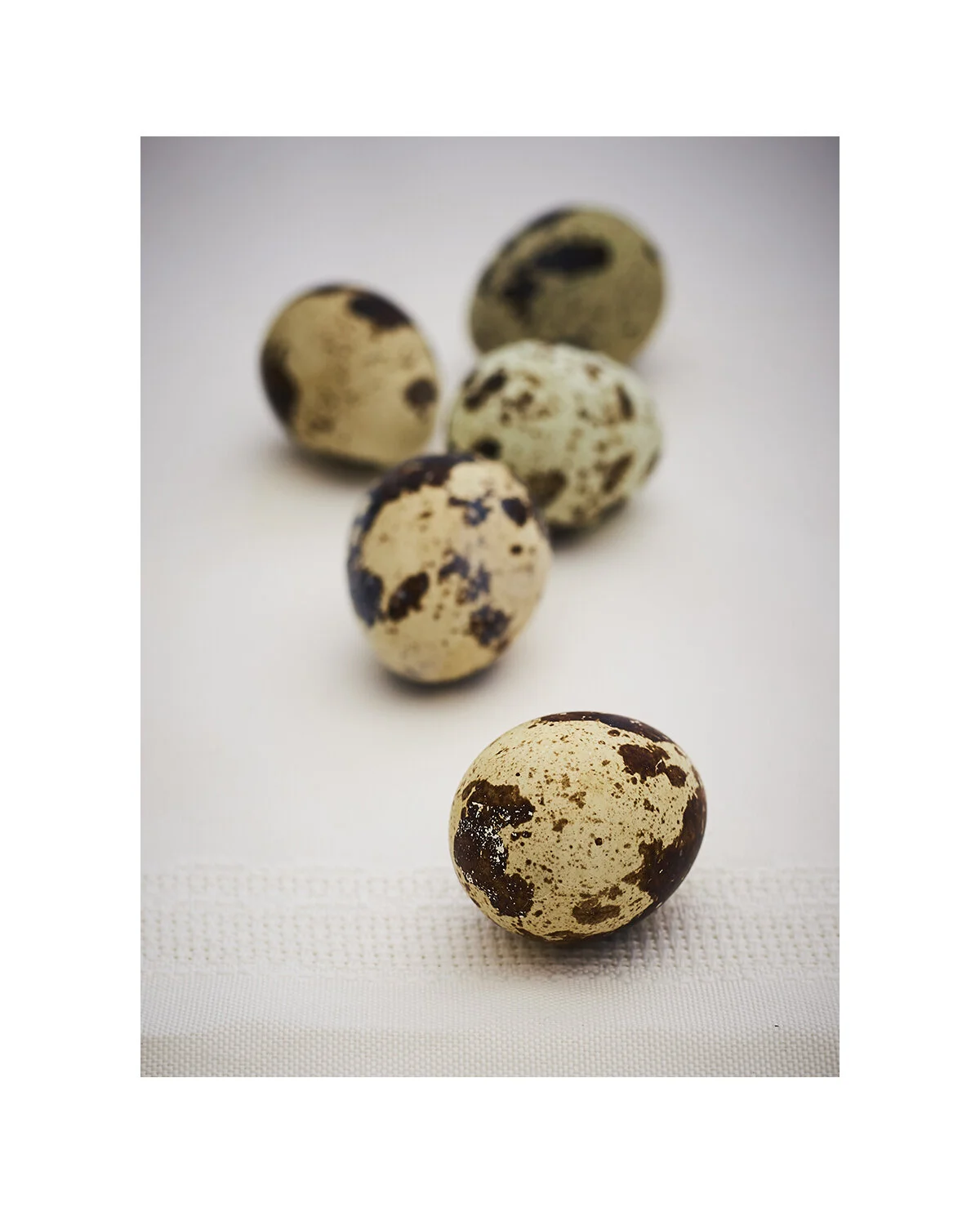 Instagram Portait Template 43 .jpg