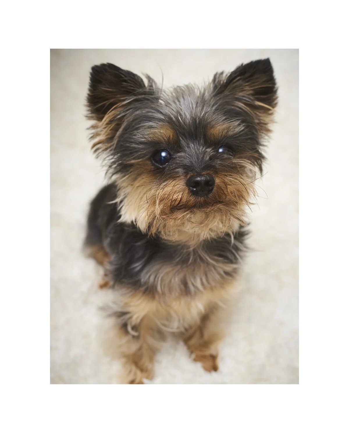 Instagram Portait Template 75  copy.jpg