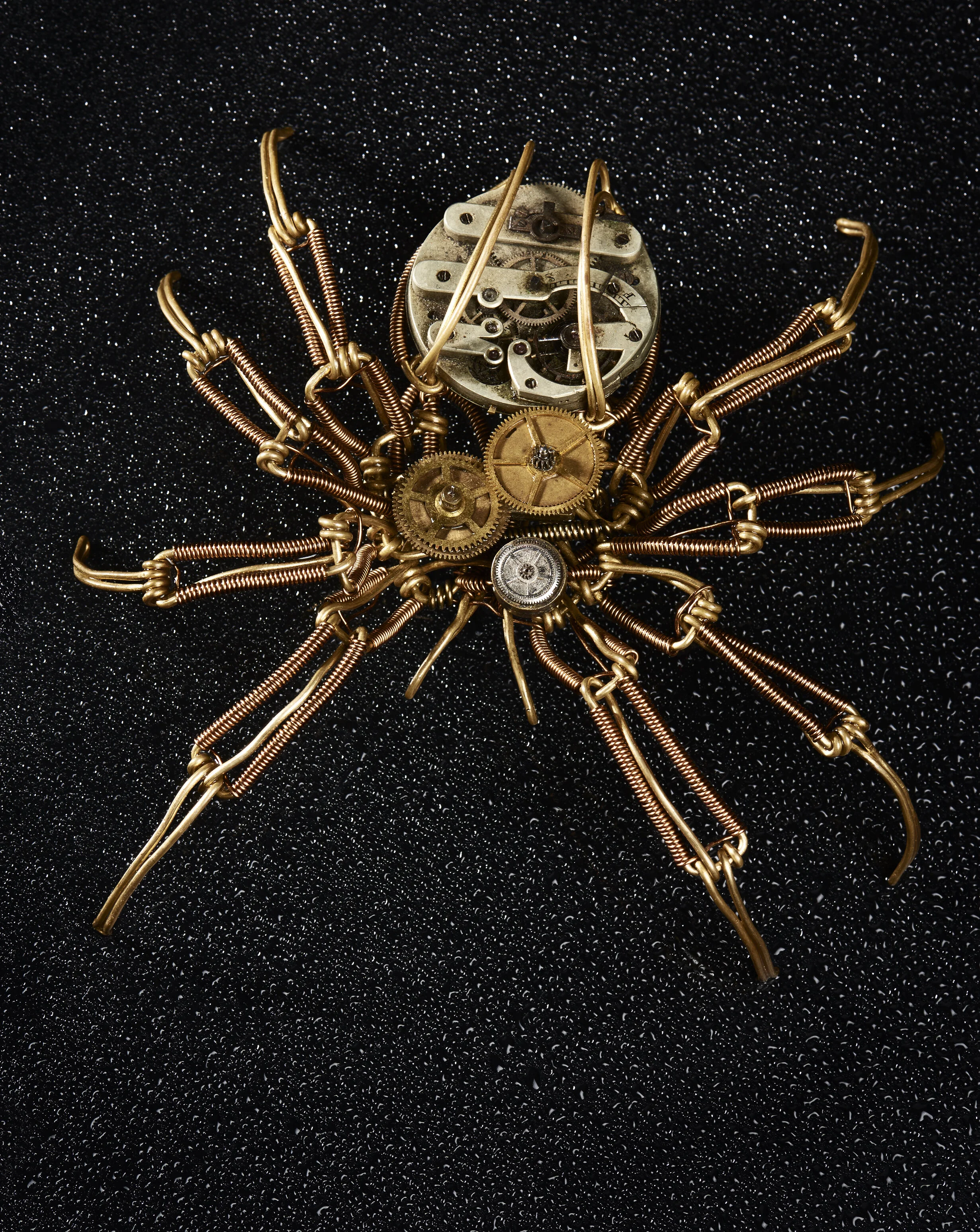 Lauzon C 04 self dirrected comercial image.jpg