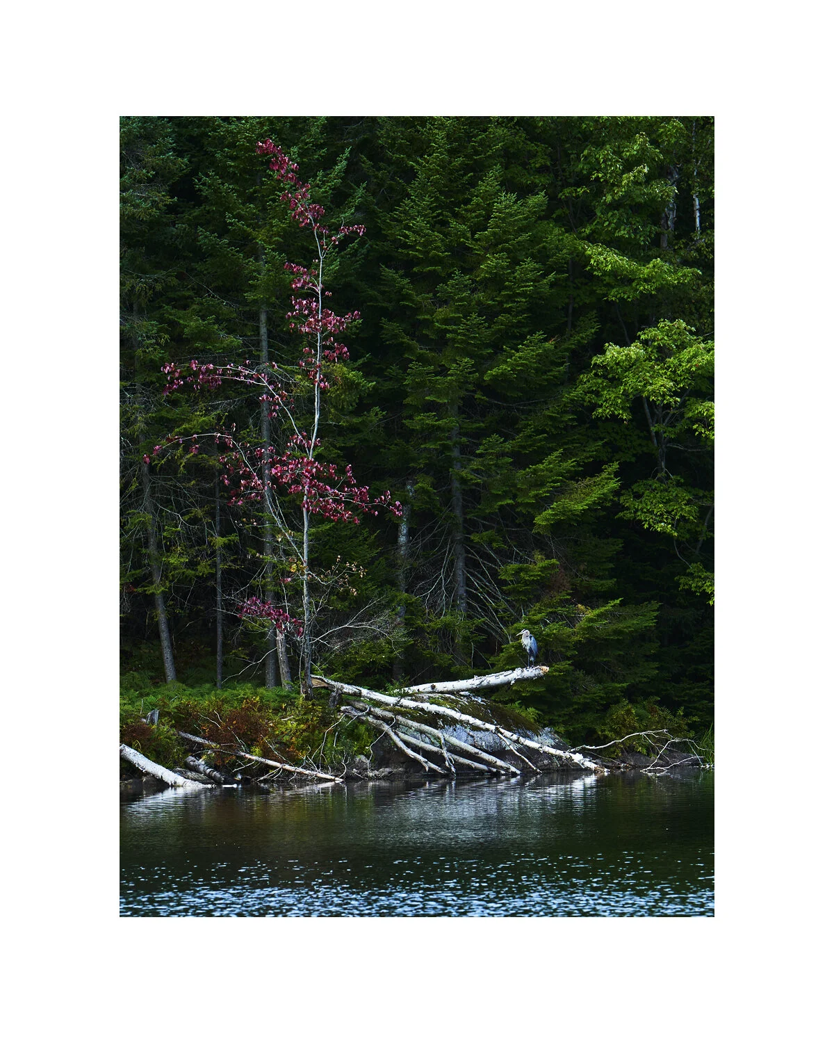 Instagram Portait Template 70  copy.jpg