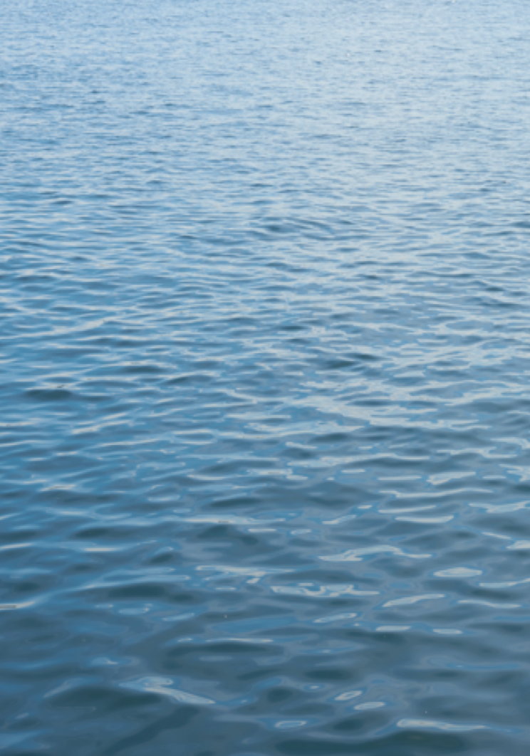 Screen Shot 2020-10-26 at 7.57.33 PM.png