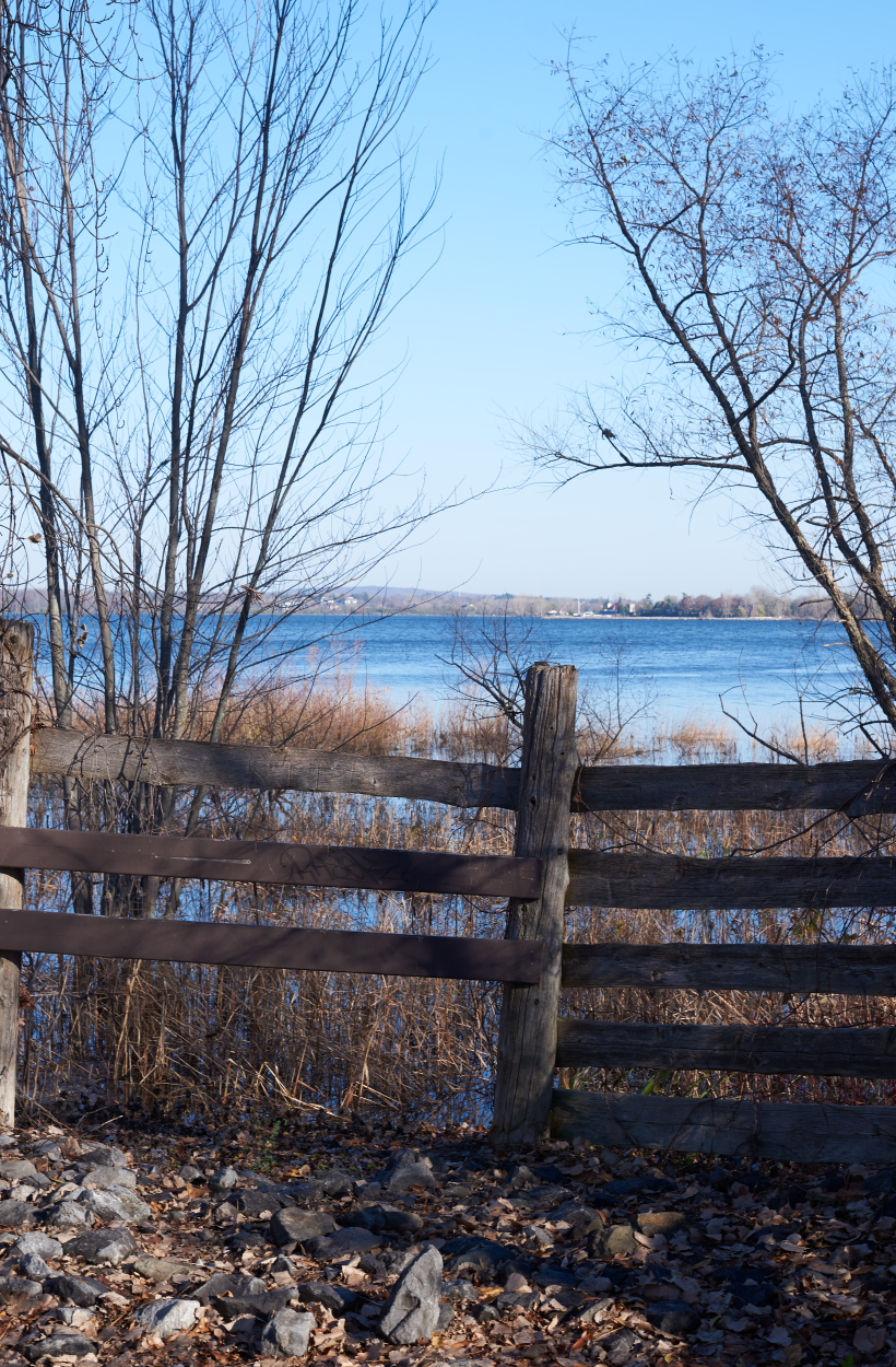 Screen Shot 2021-01-29 at 3.26.18 AM.png