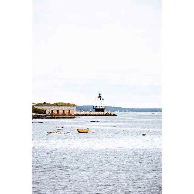 The scene at Willard on Sunday. Not pictured: the woman swimming the length of the beach and pausing occasionally to yell at dog owners at the top of her voice. Otherwise, it was very peaceful. #mainelife #lighthouseviews
