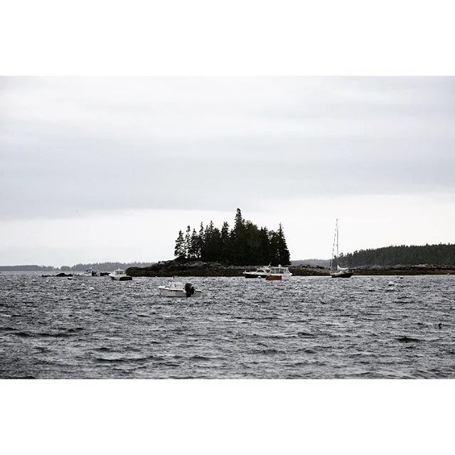 Seal Harbor in moody weather. #galewarning #acadianationalpark #typicalmainescene #mainelife