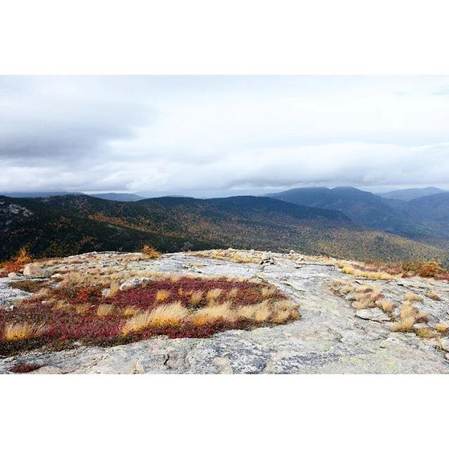 South Baldface. #hikethewhites #baldfacecircletrail #hikenh