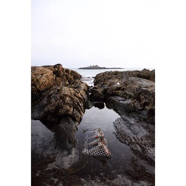 Quick trip to Hermit Island at the end of the day. It was 81 and cloudless when we arrived around 5:45, then the sun set, and it was 60 and foggy when we left at 6:25. #maineweathah #hopefullythelastofsummer #hermitisland #mainelife