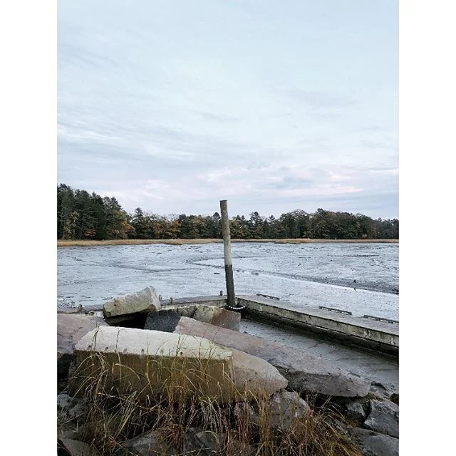 I love fall for so many reasons. #runningweathah #winteriscoming #soonwellbeskiing #fromwhereirun #freeportmaine #mainelife