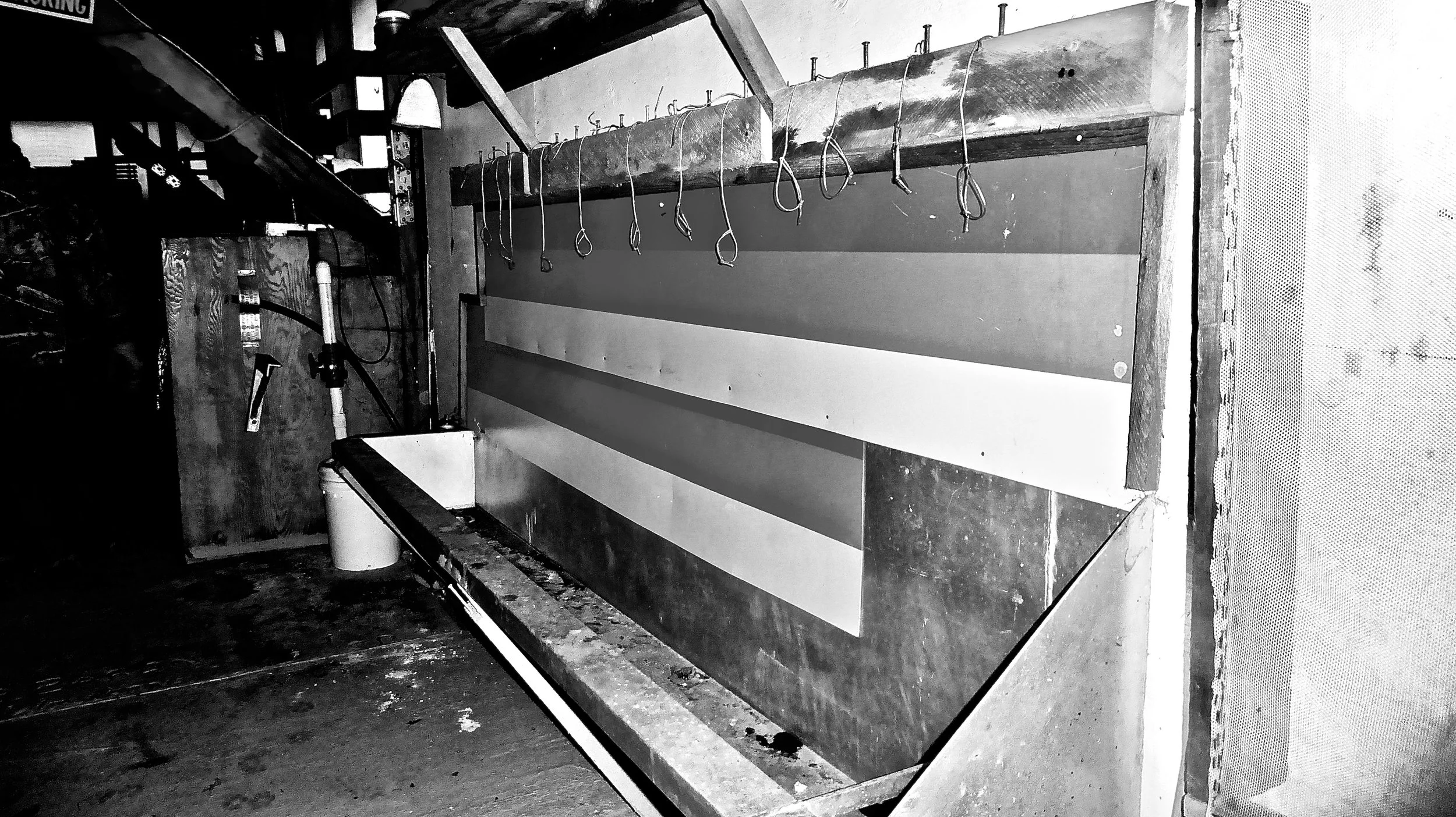 Legacy Part 09 – The Broughton & Gilford Coho Hatchment Project