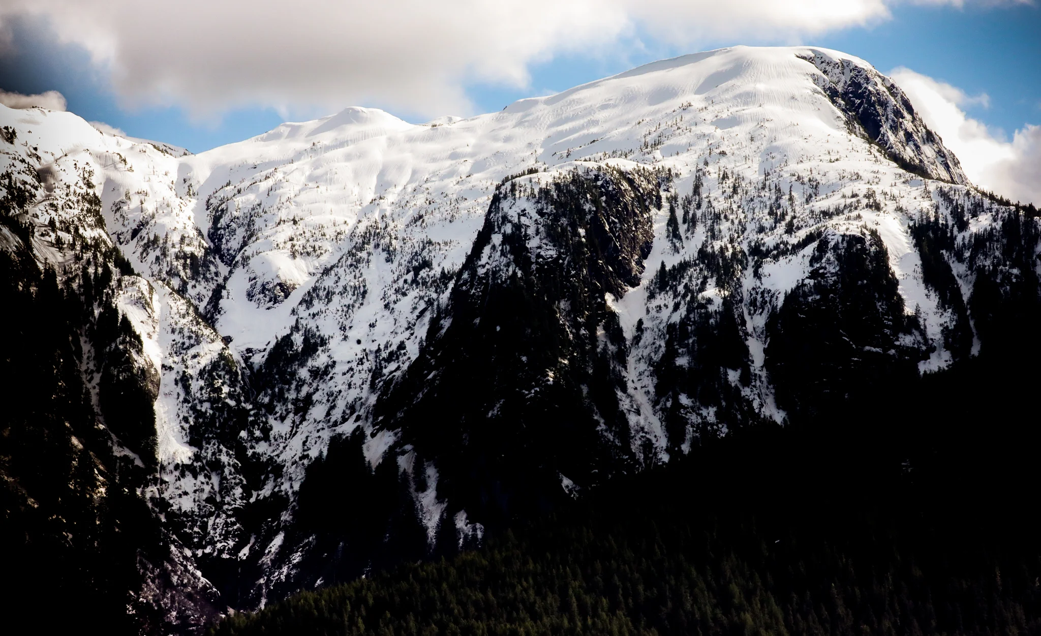 0W8A3045 – Inside Passage BC.jpg