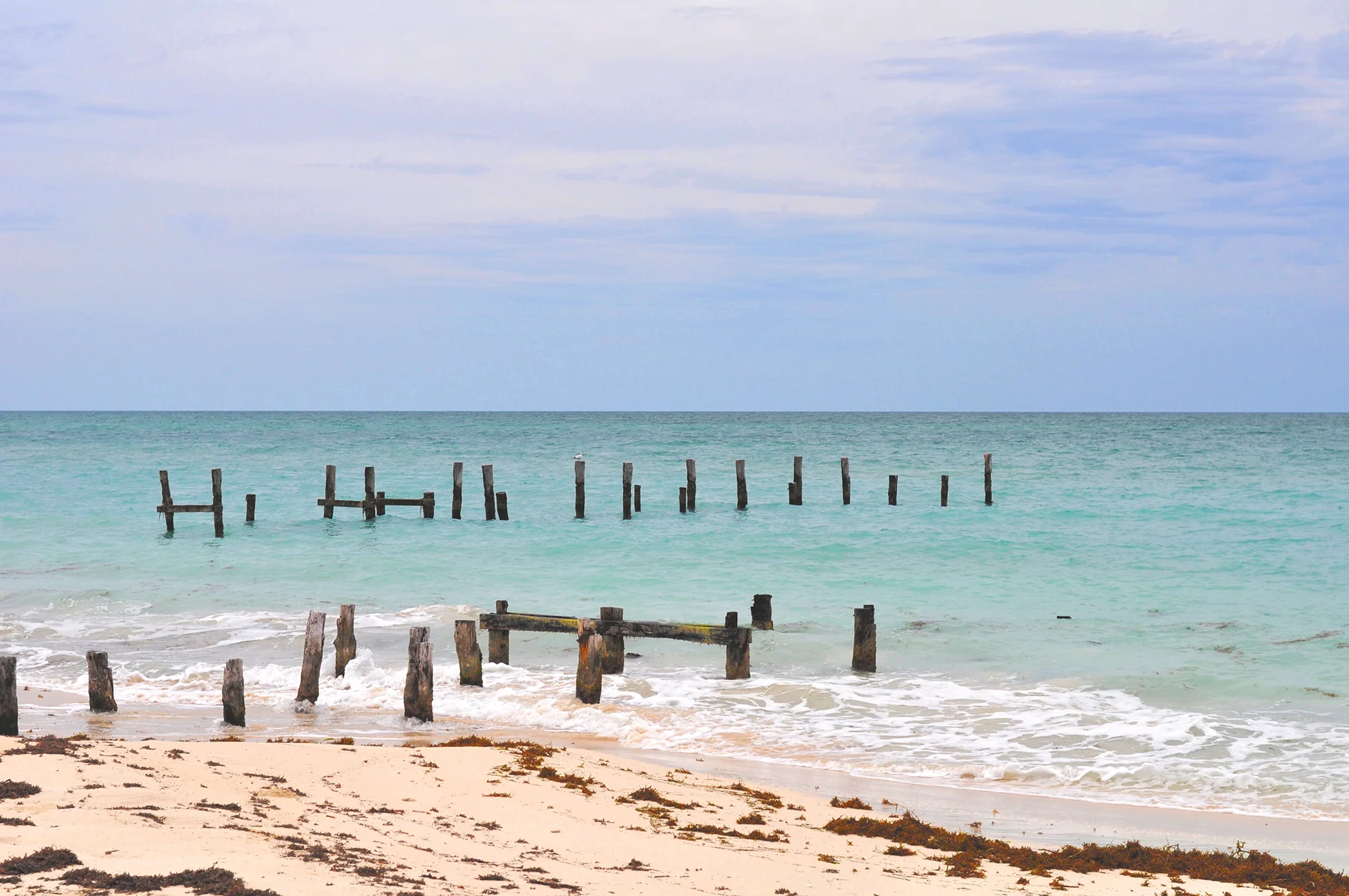 We found a wedding venue!