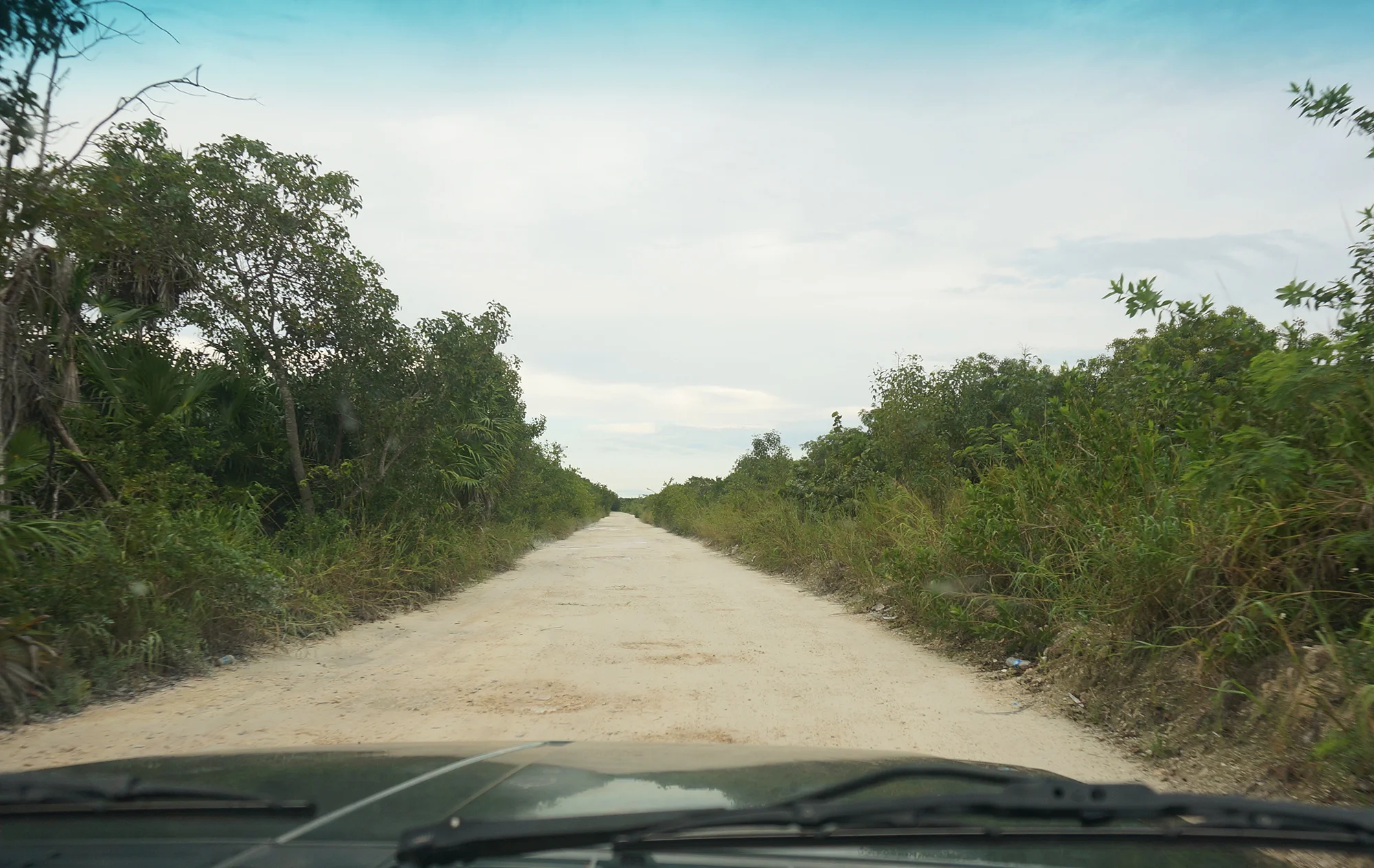 The dirt road leading to Villa Chenera, our wedding venue / El camino a Villa Chenera