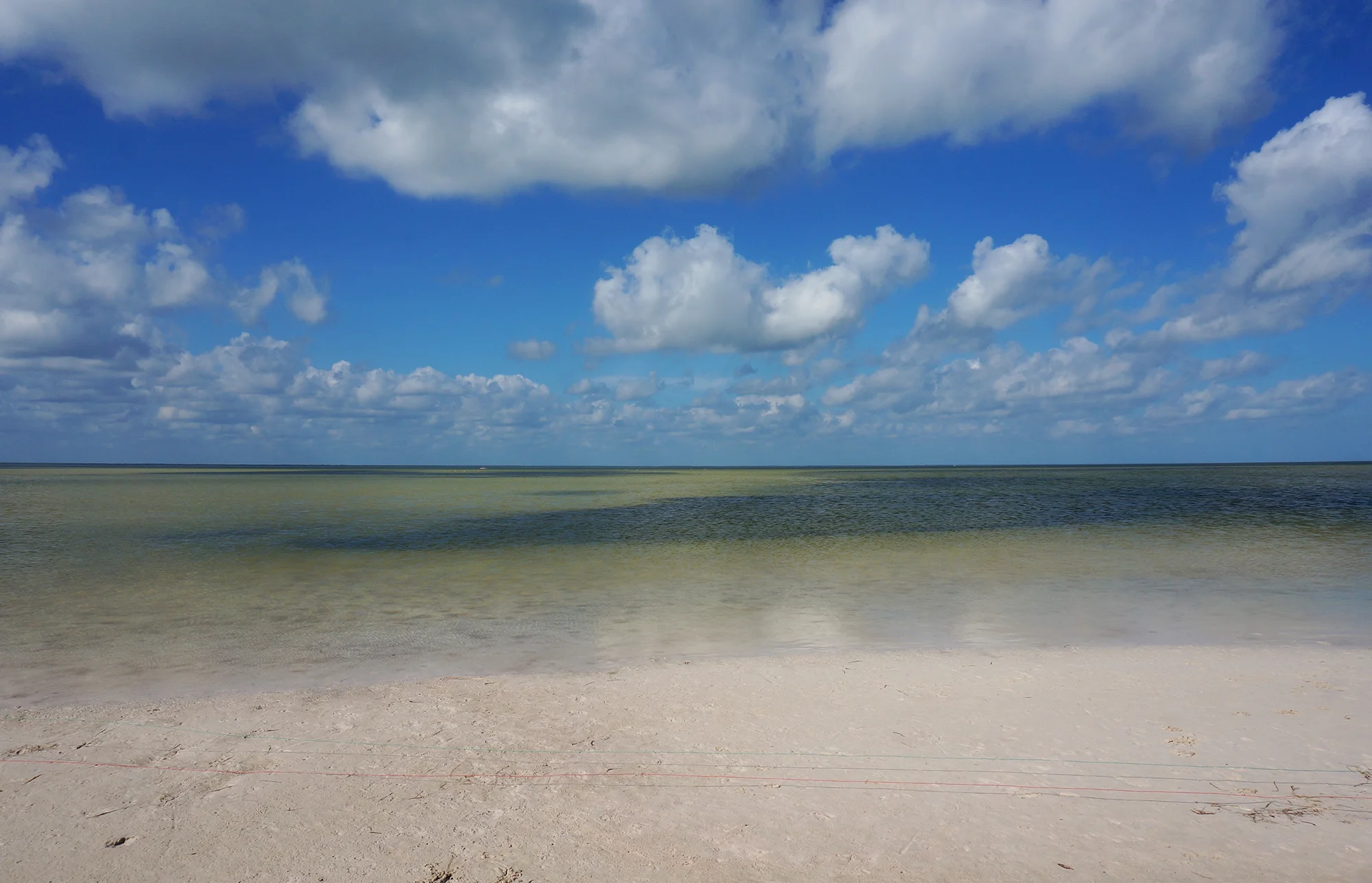Isla Blanca is a kitesurfer’s dream! / ¡Isla Blanca es ideal para hacer Kite!