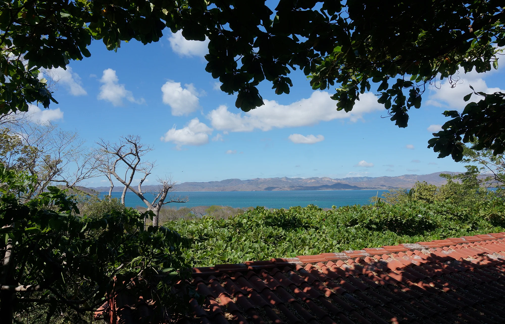 dsc08550.jpg
