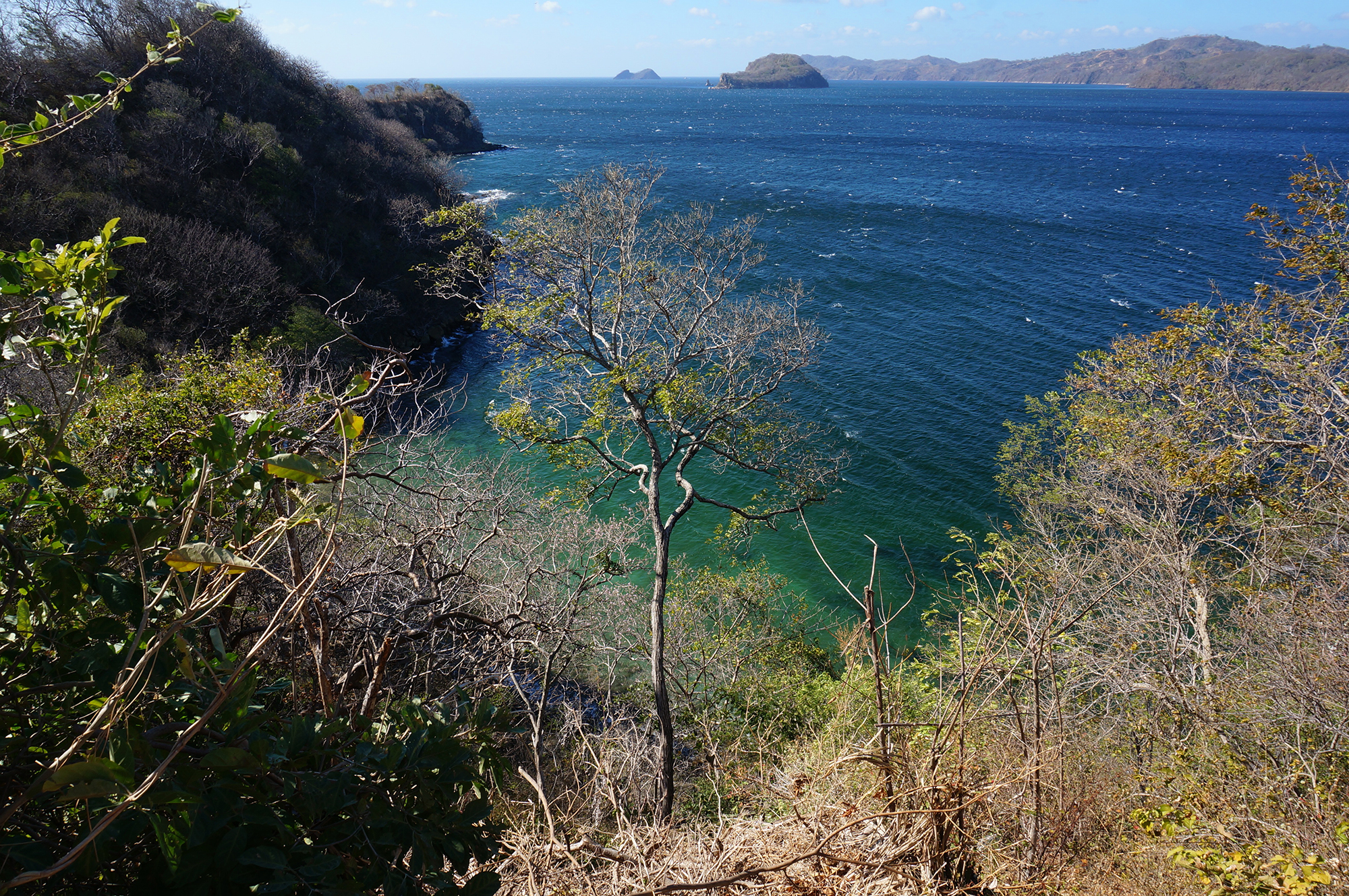 dsc08714.jpg