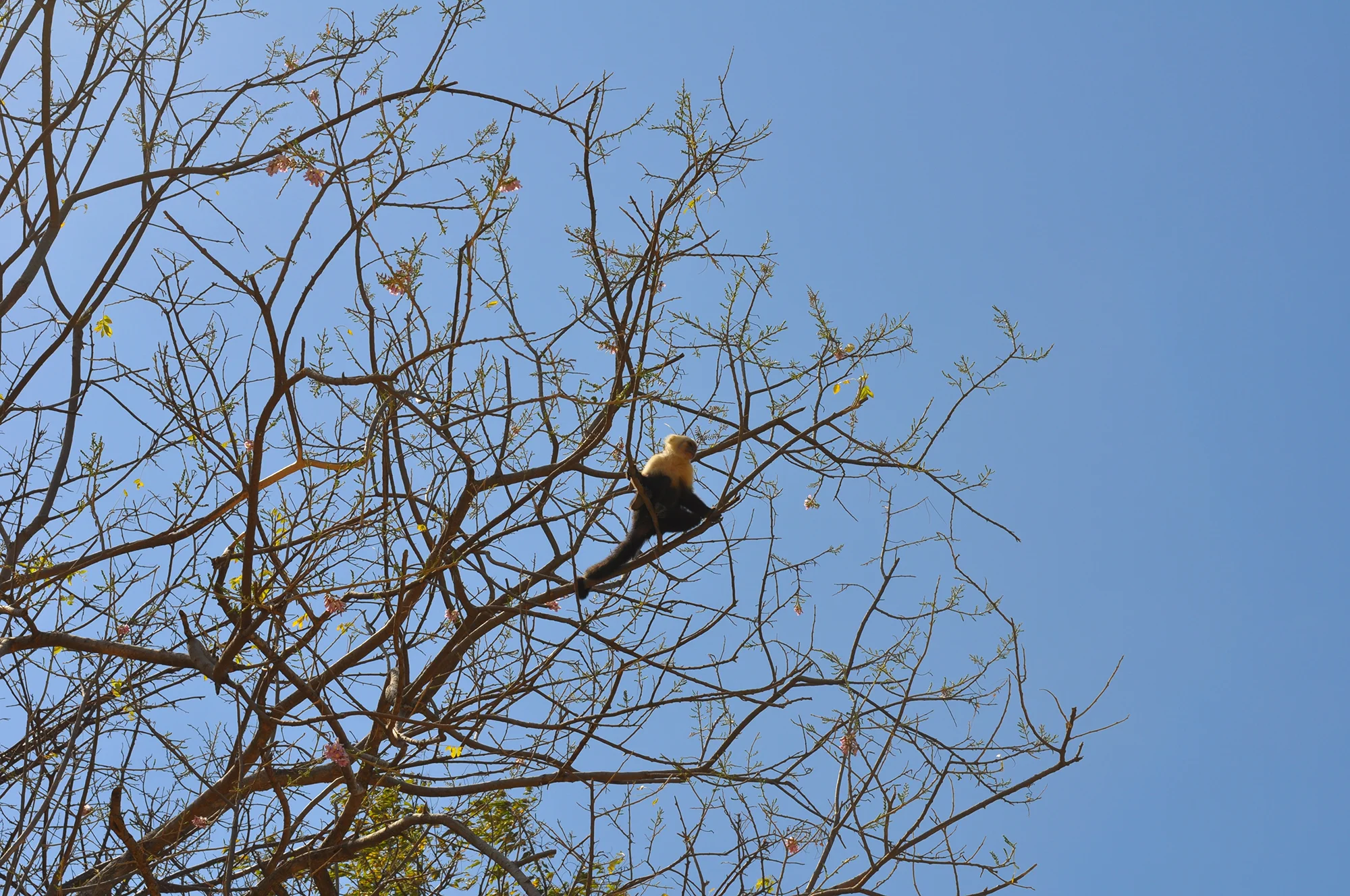 dsc_4118.jpg