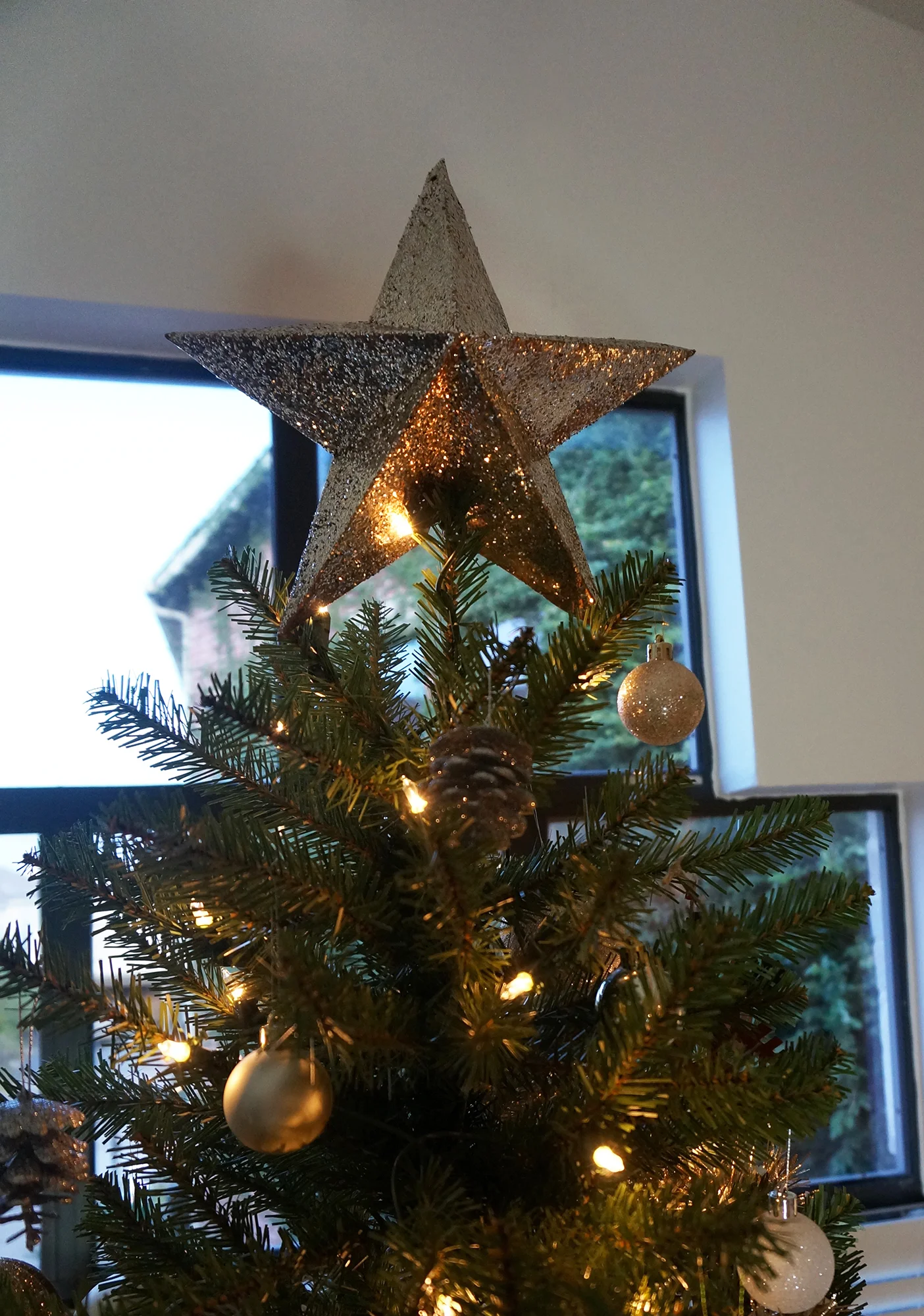 star of wonder, star of light! / ¡la estrella de Belen!