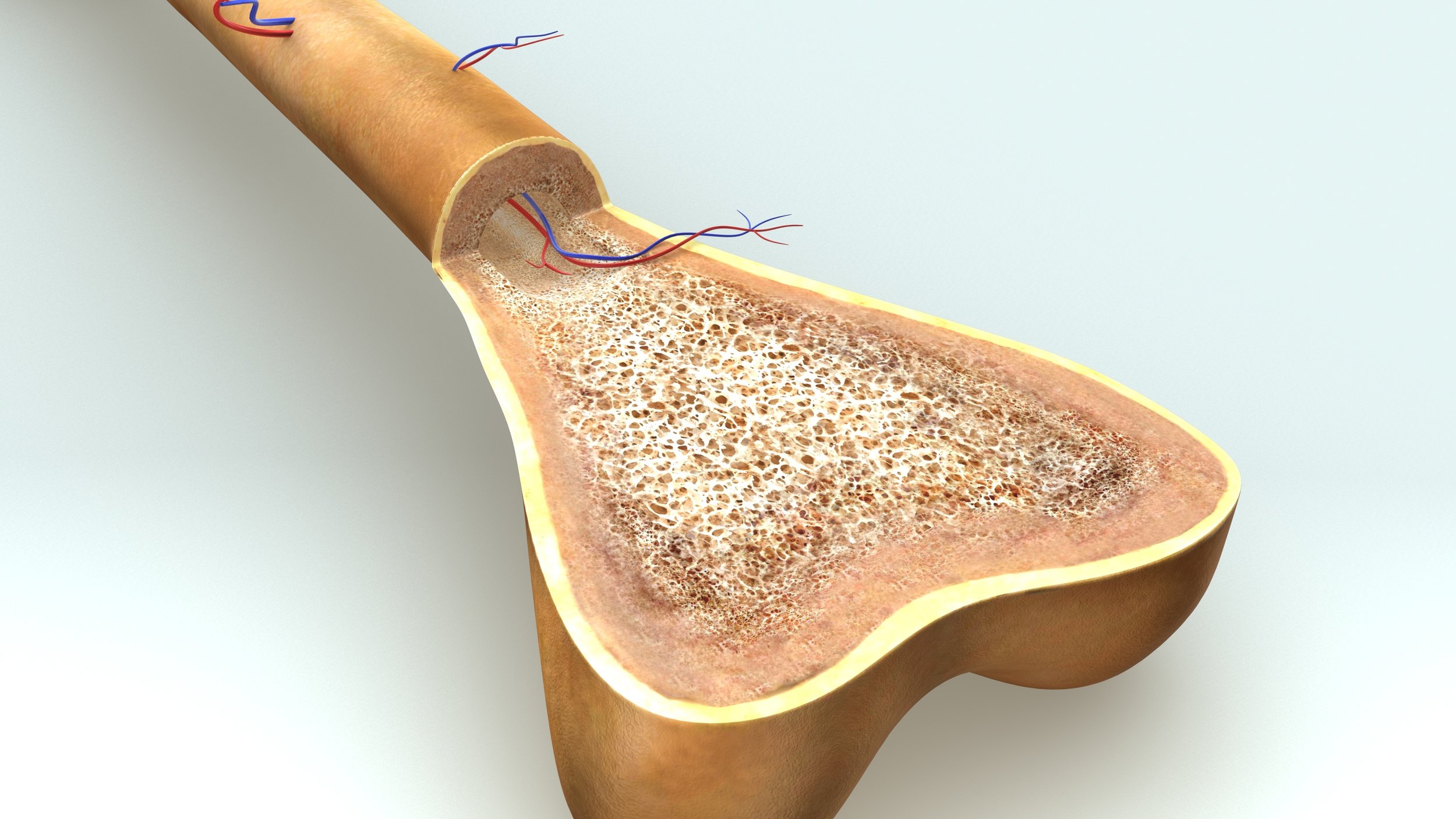 Vitamin D promotes healthy bones.
