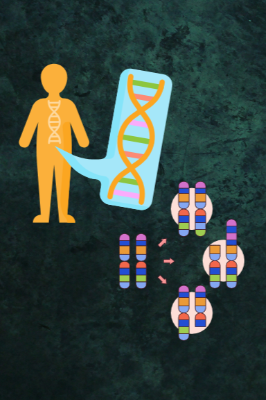 Illustration of a person with a DNA double helix, showing DNA replication with chromosomes and sister chromatids.