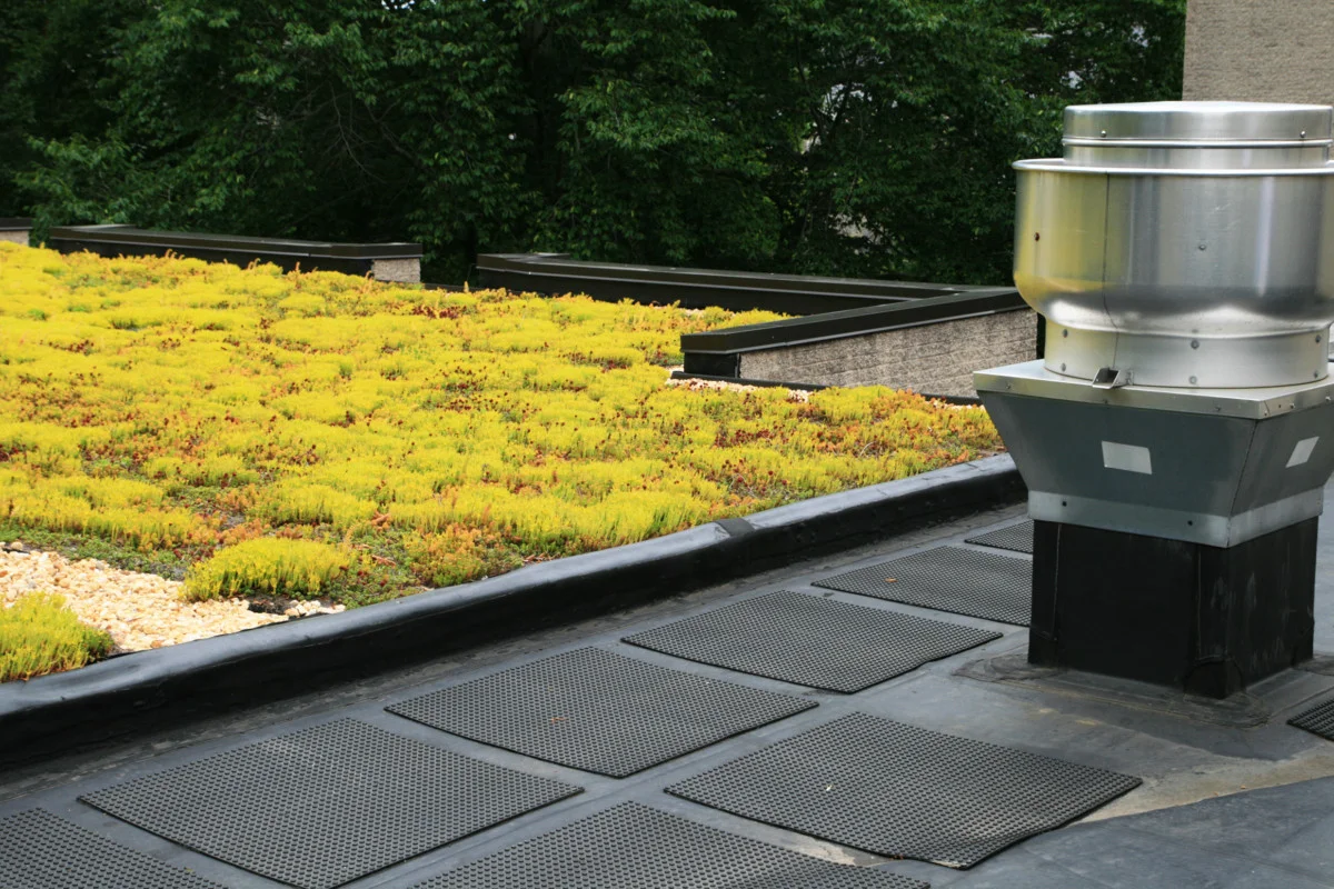 Green-Roof-Installation-Service-Near-You-in-Michigan.jpg