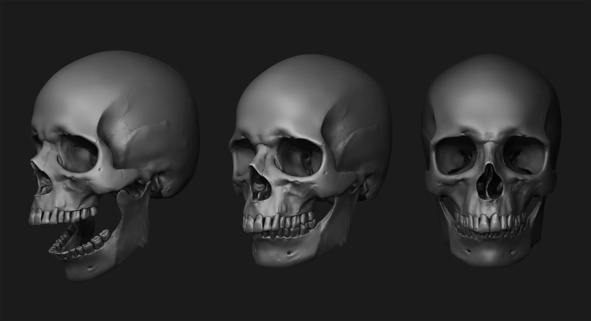 skull.jpg